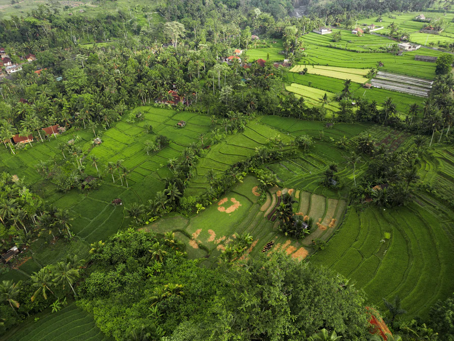 Sidemen Valley Rice Terraces