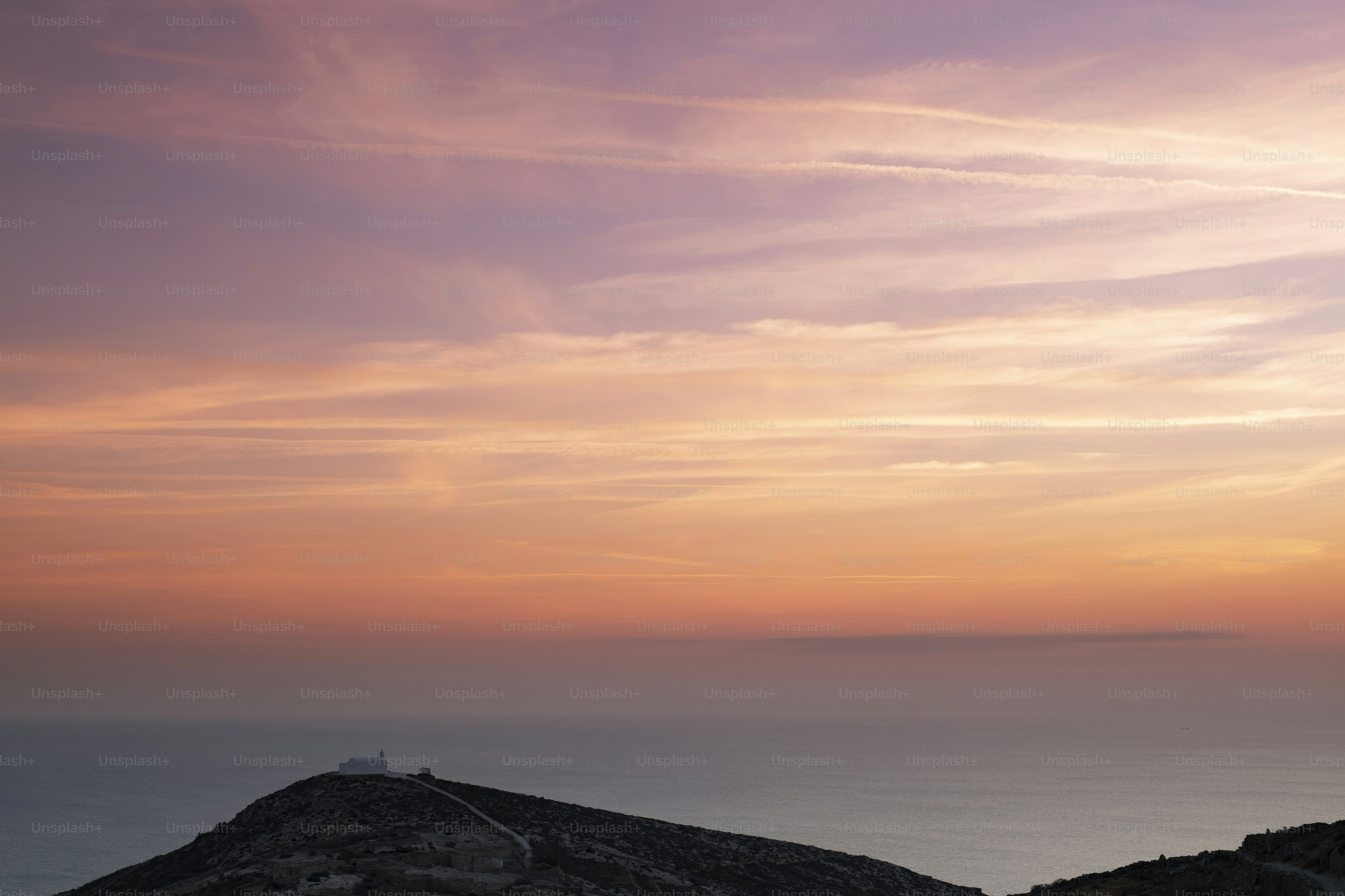 A couple of sheep standing on top of a hill