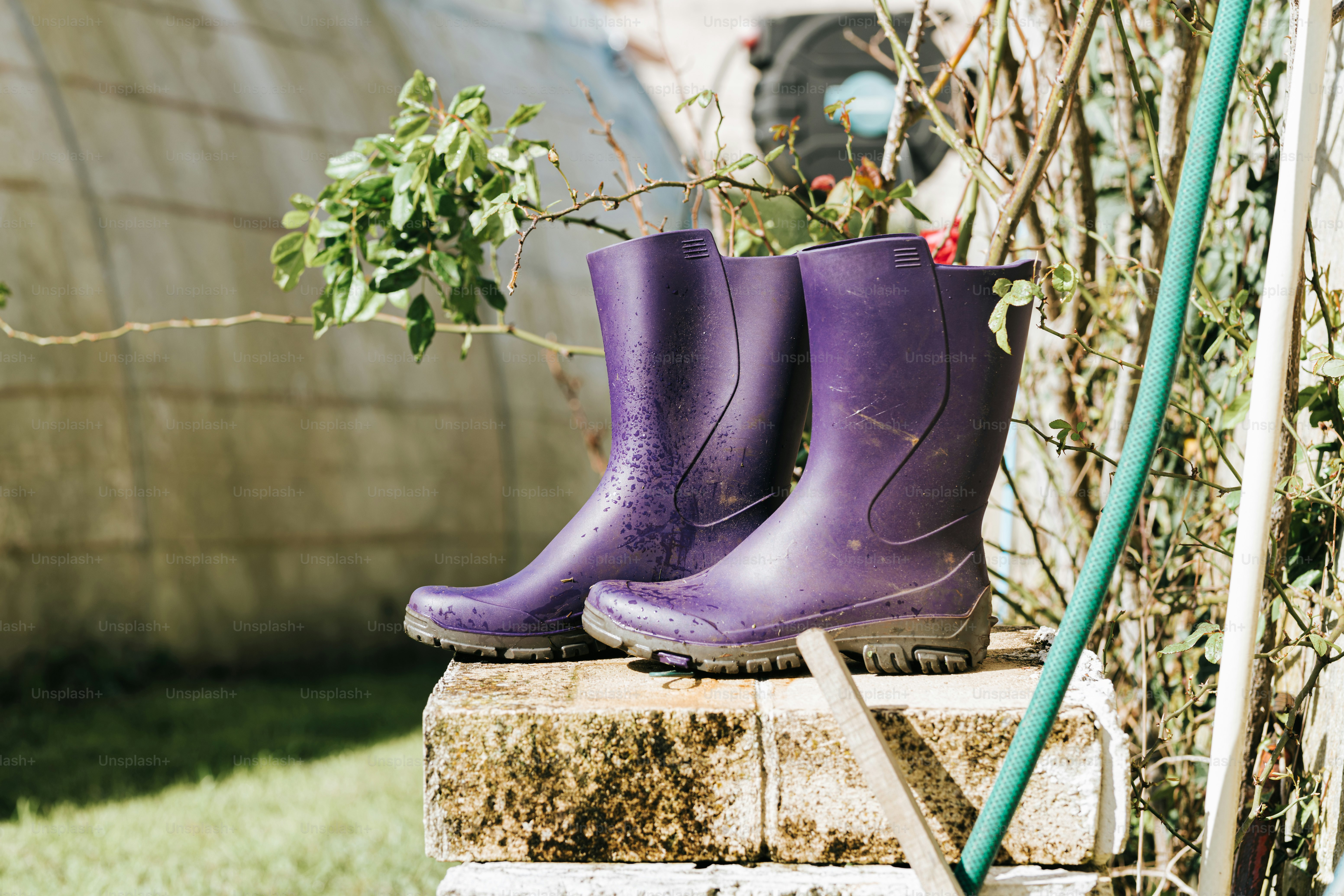 A couple of purple boots sitting on top of a cement block