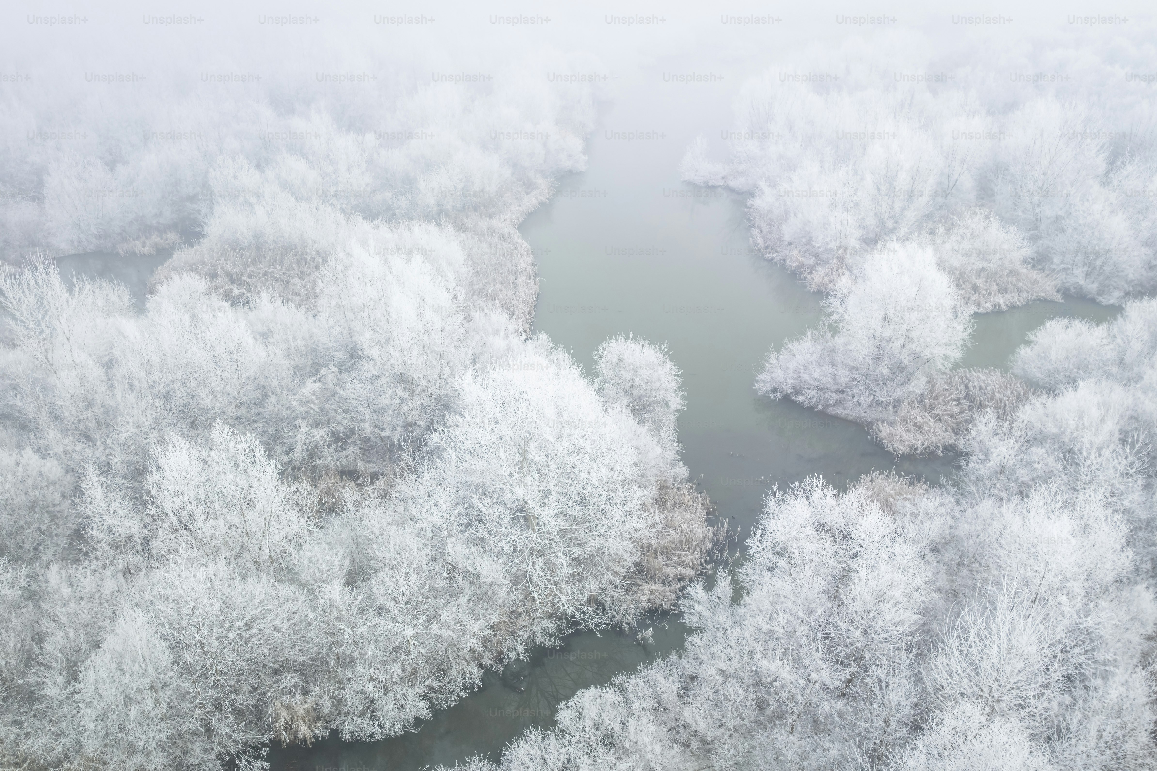 An aerial view of a body of water surrounded by trees