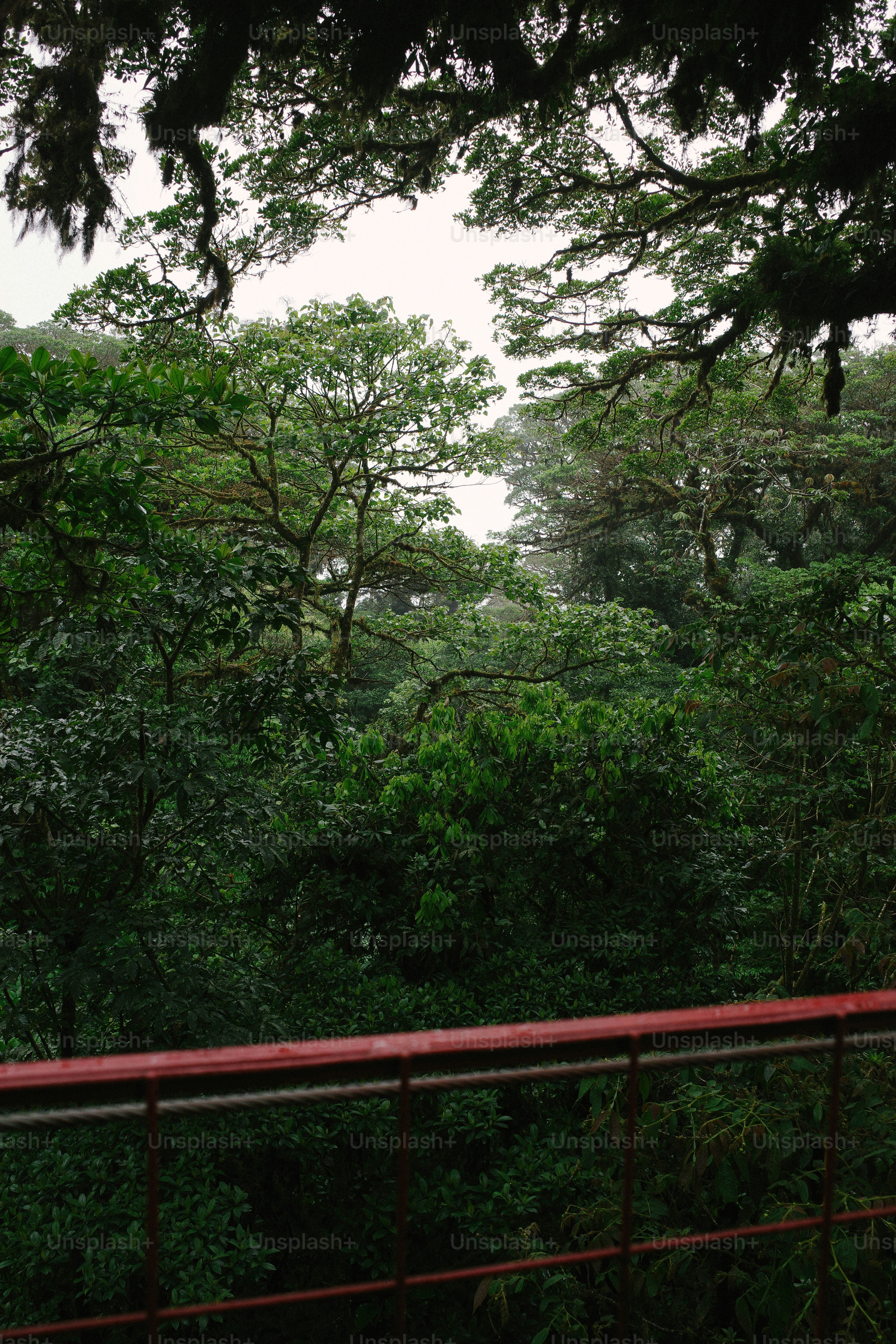 A man riding a skateboard on top of a red rail