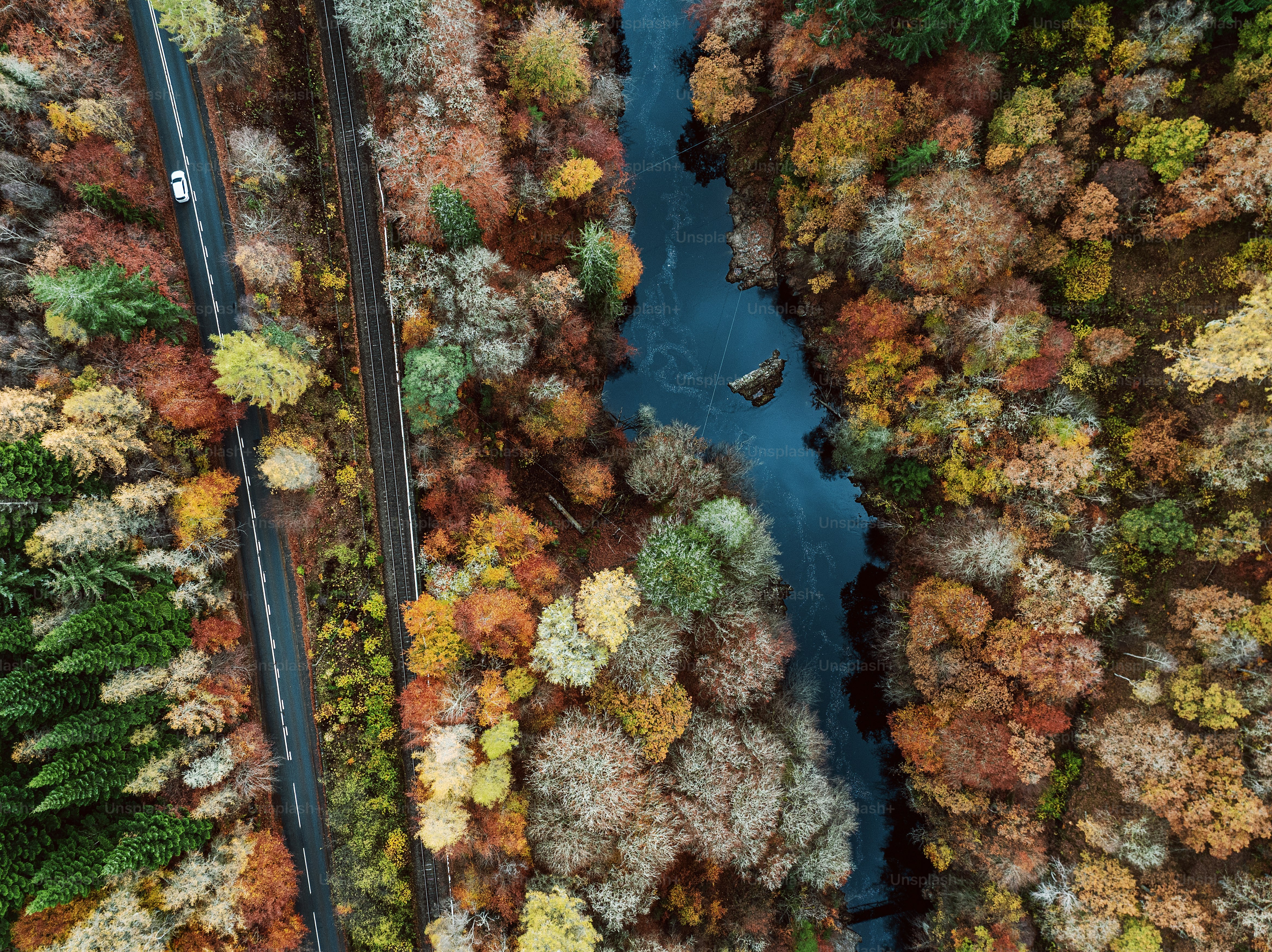 An aerial view of a river surrounded by trees photo – Background Image ...