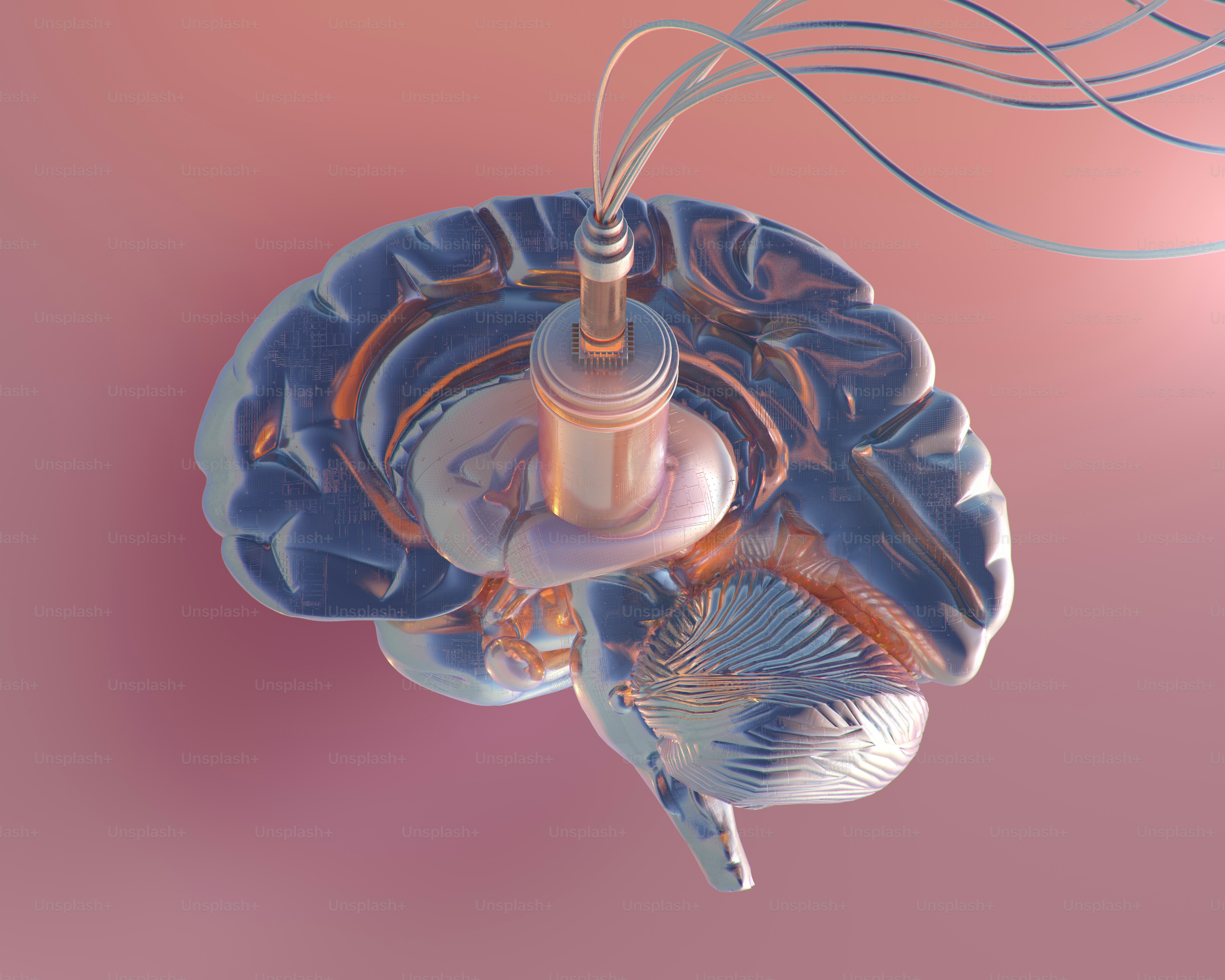 premium_photo-1730134436974-9945aa685972?ixid=M3wxMjA3fDB8MXxzZWFyY2h8MTN8fGxhbmdsZXklMjBuZXVyb2ZlZWRiYWNrfGVufDB8fHx8MTc1NTM4NTQyMXww\u0026ixlib=rb-4.1.0