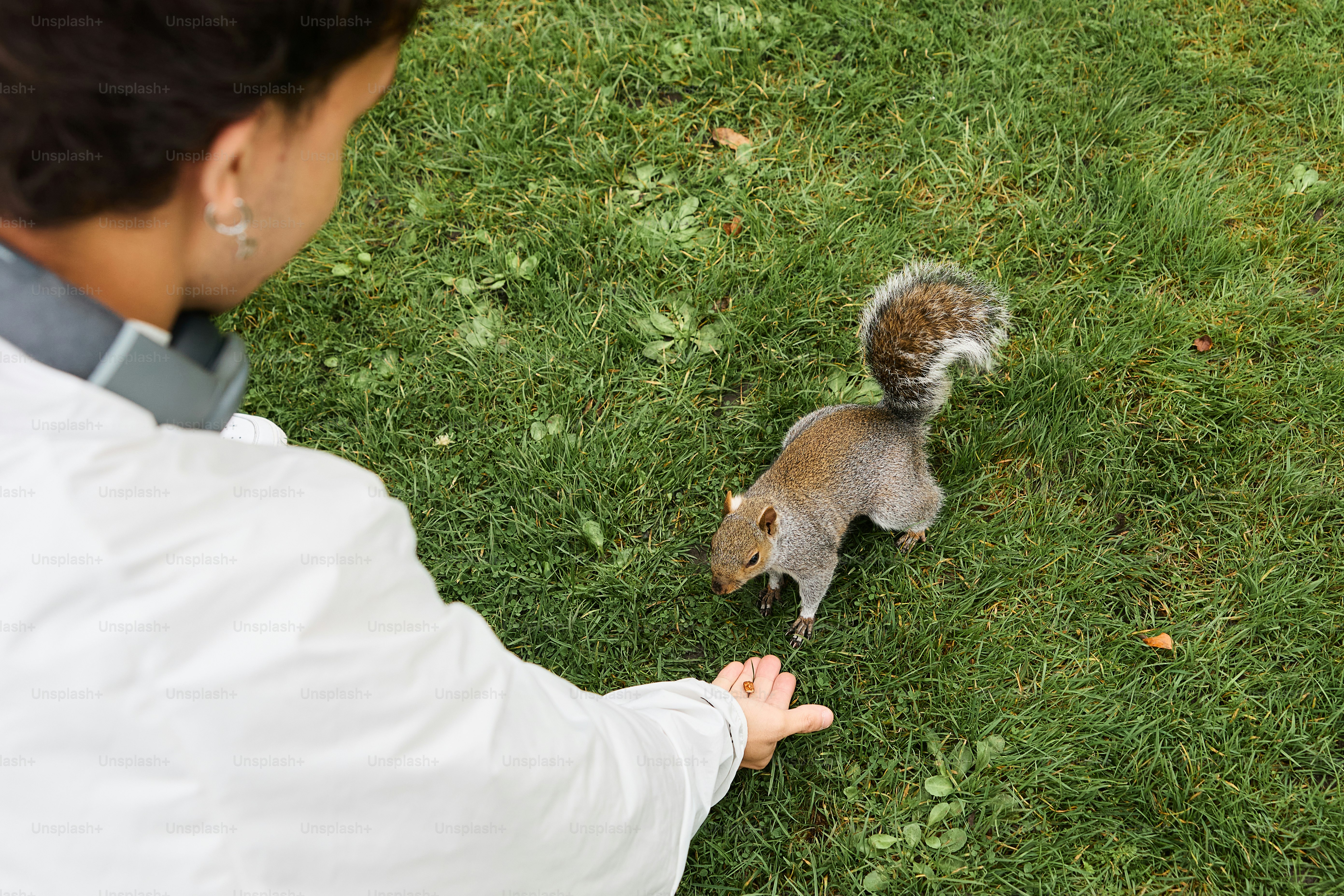 A woman is feeding a squirrel on the grass