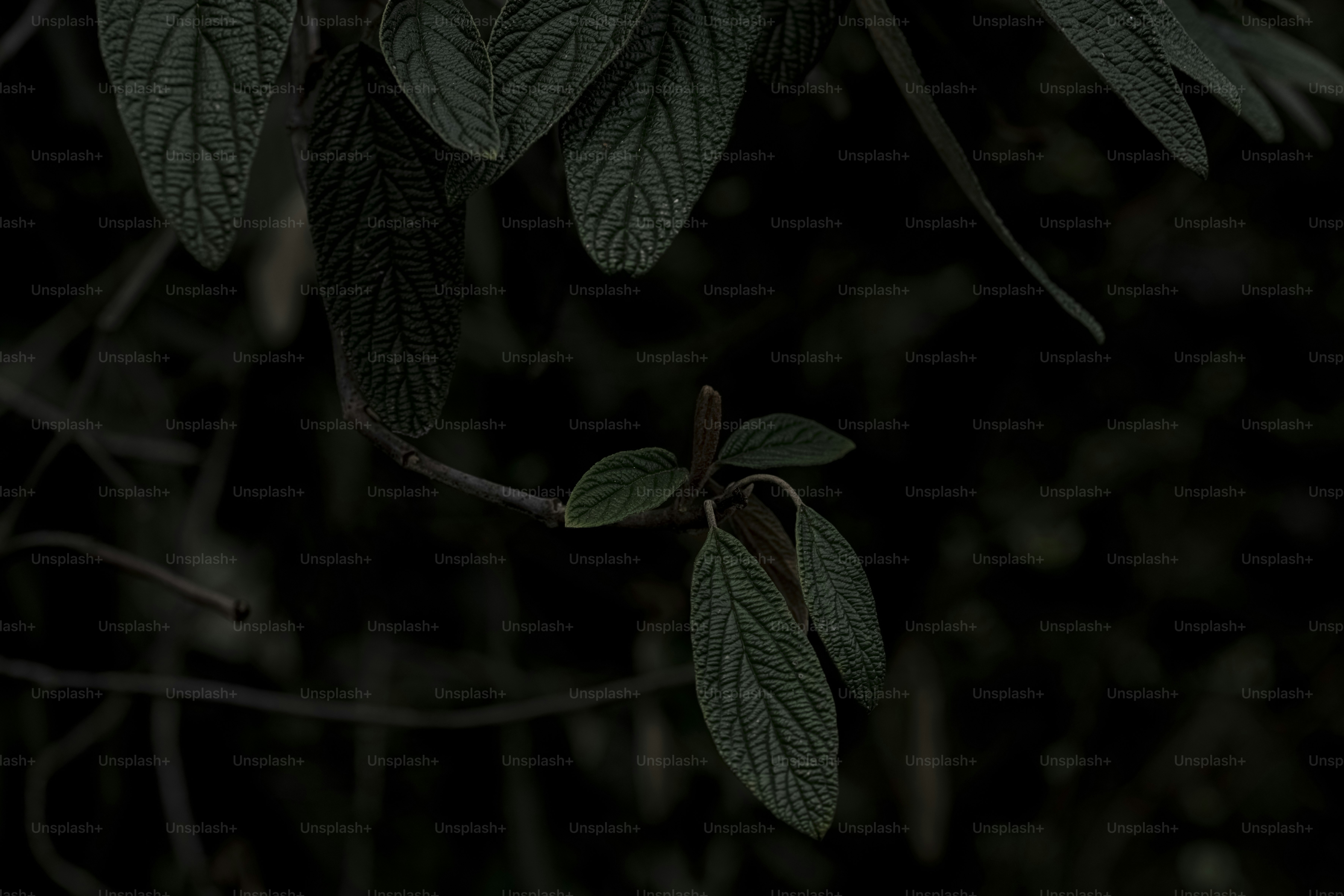 Ein Vogel, der auf einem Ast sitzt