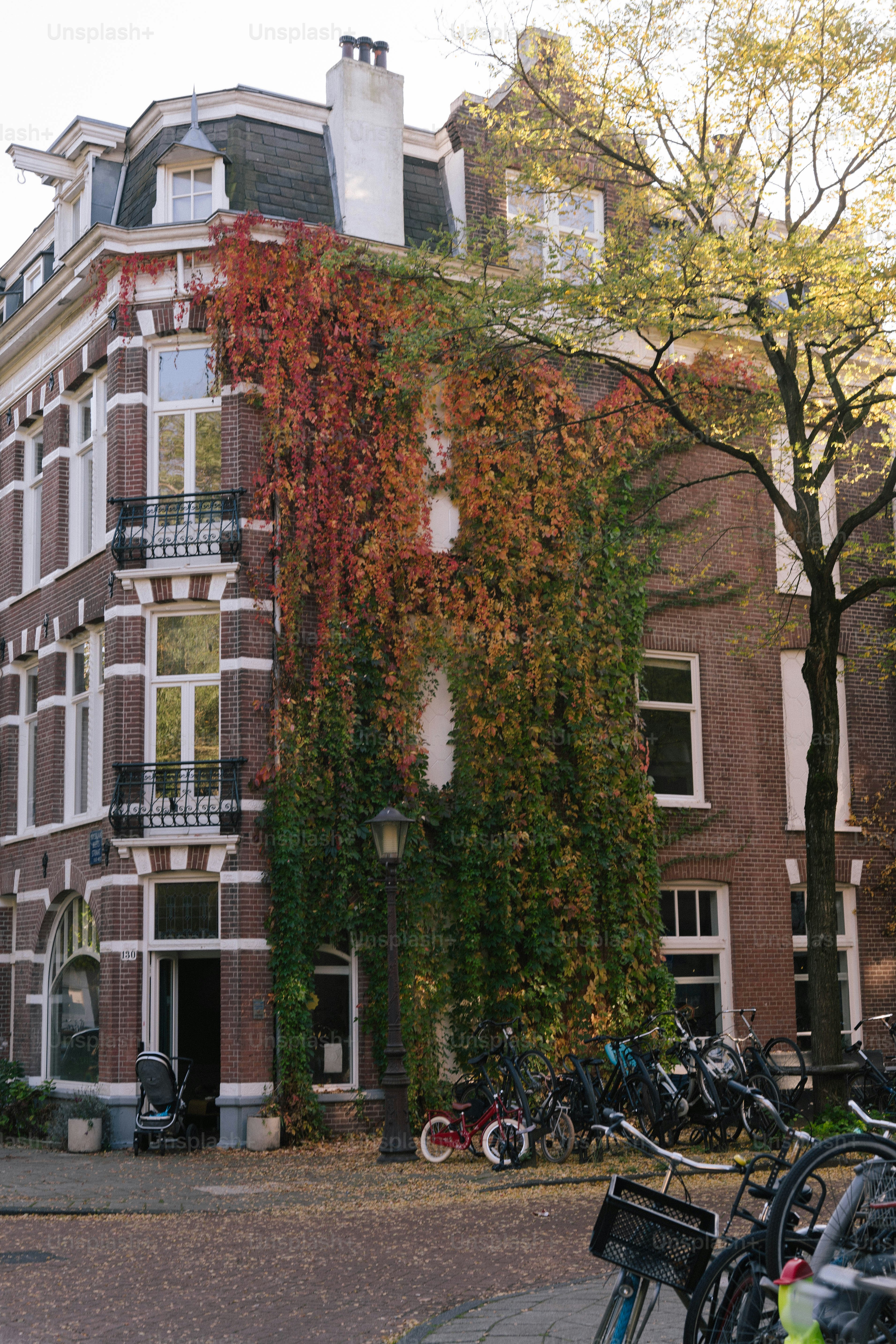 A row of bikes parked in front of a tall building