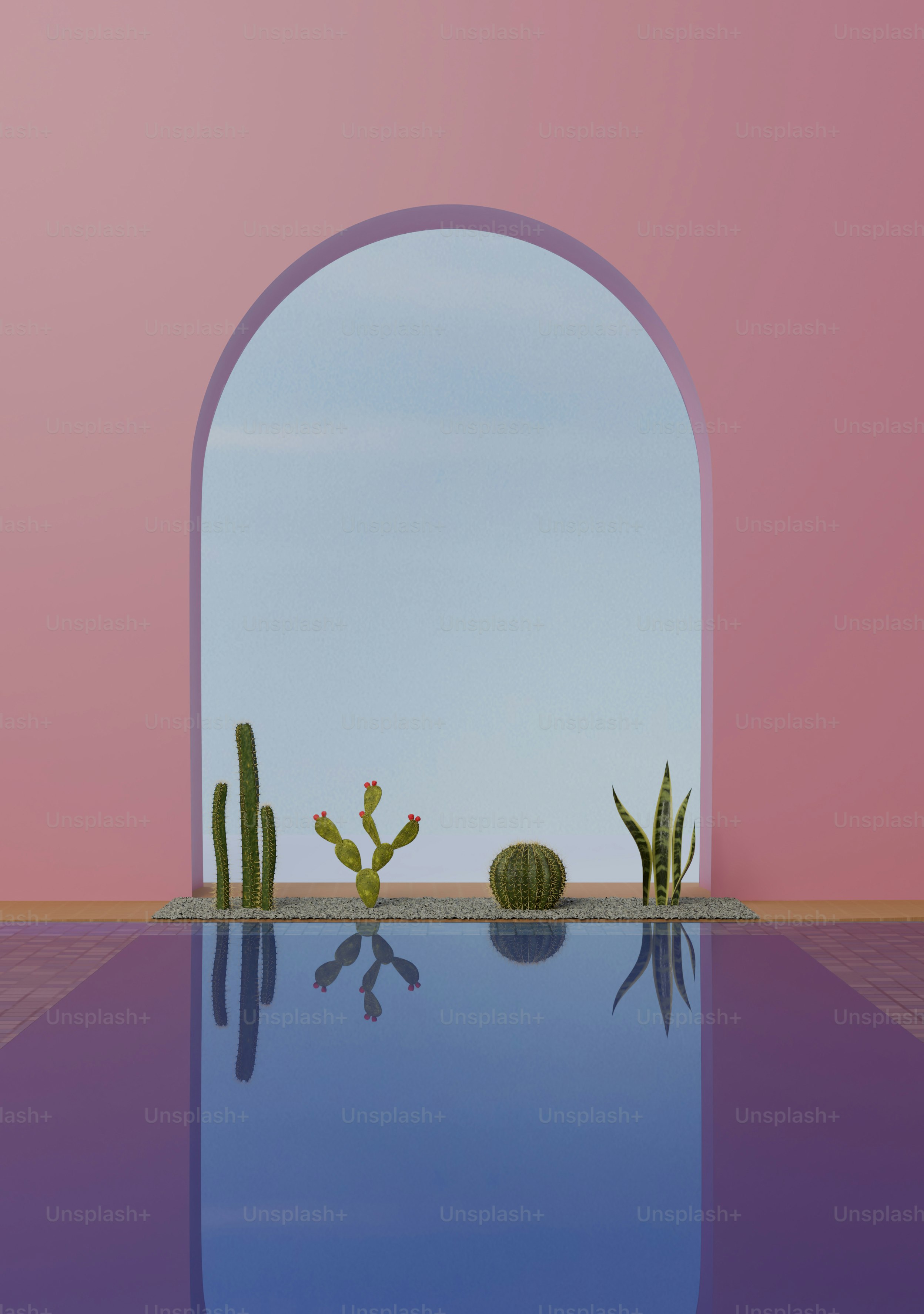 A pool with a cactus in the middle of it