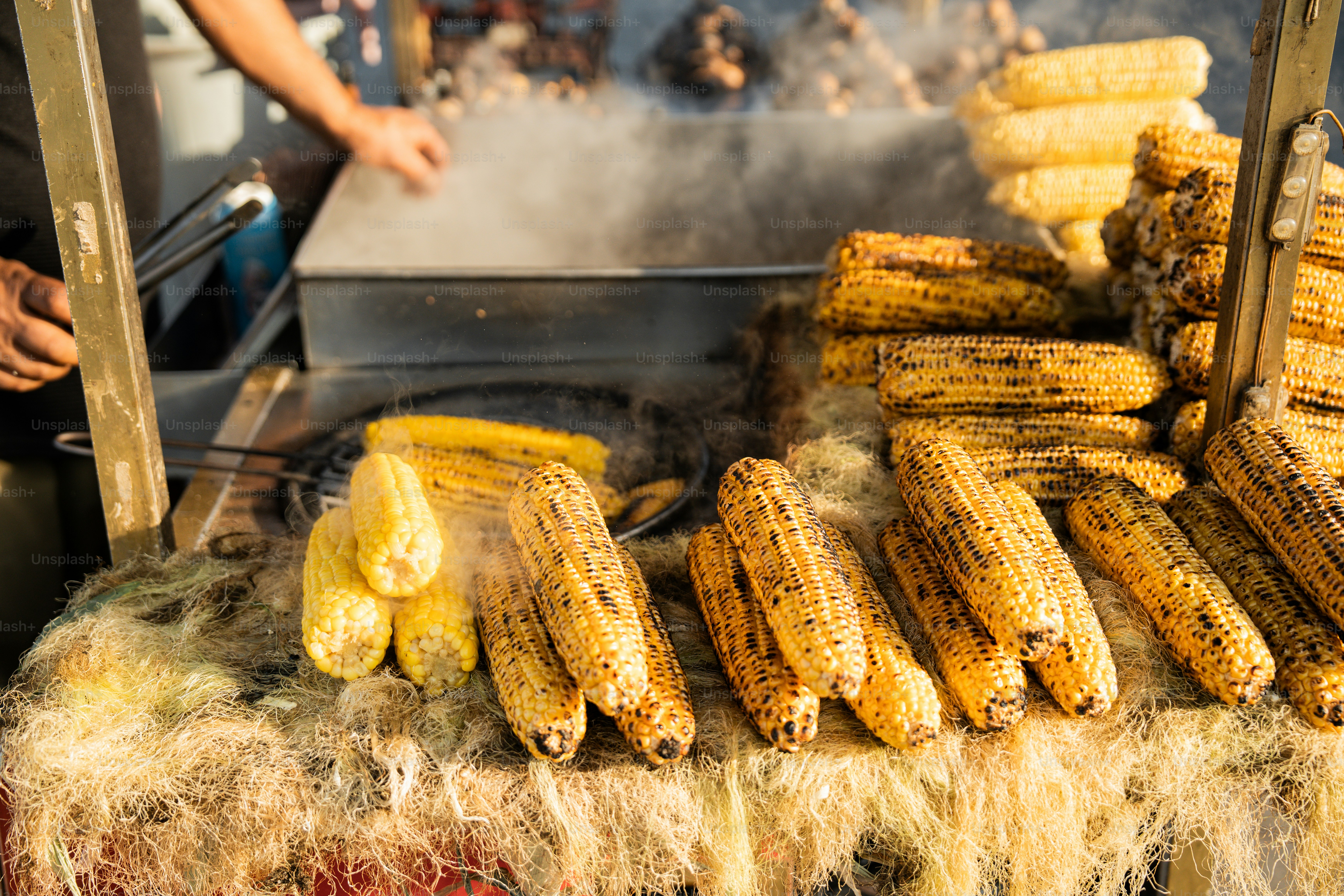 Corn on the cob being cooked on a grill