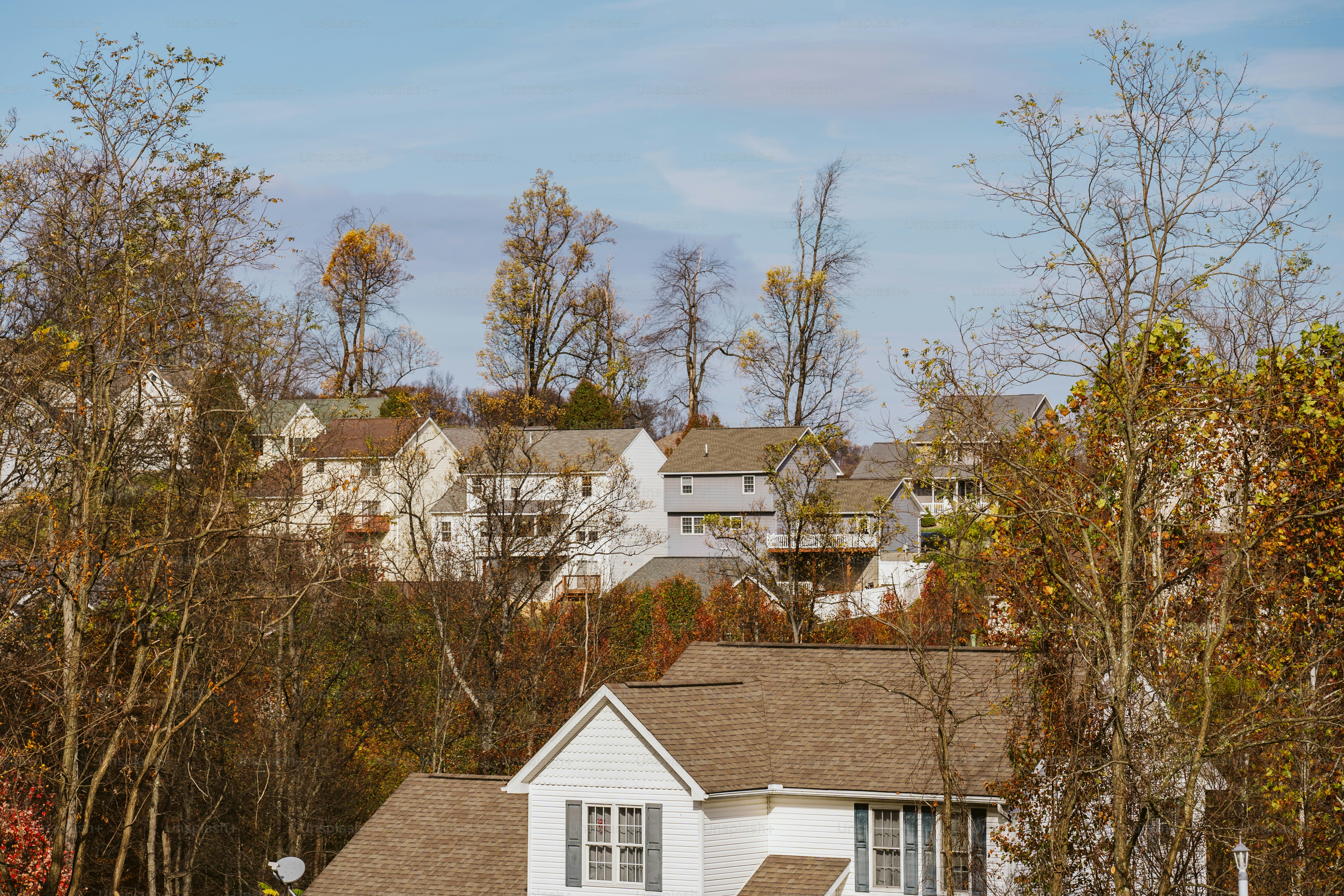 Una casa blanca rodeada de árboles y casas
