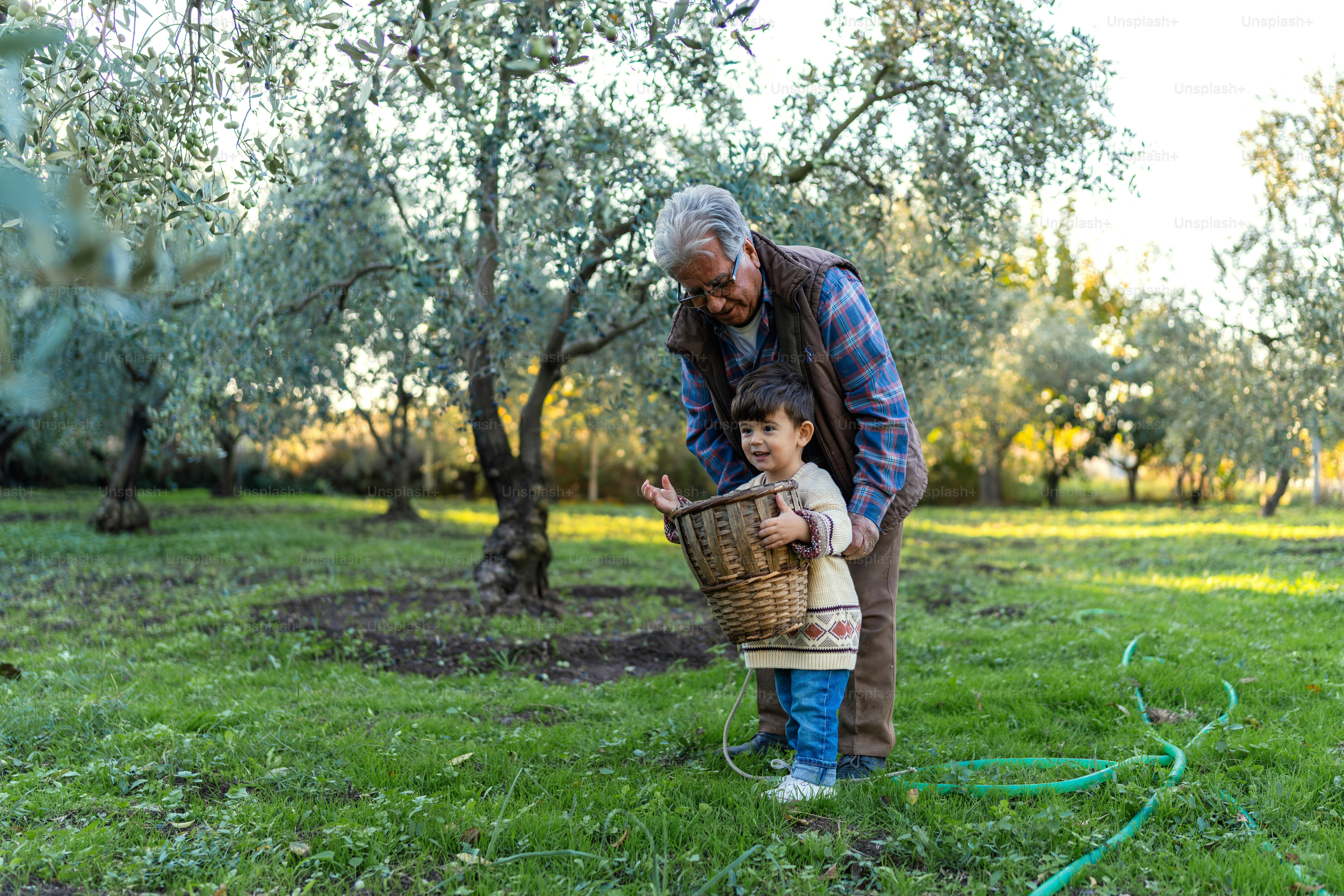 An older man and a young boy in an apple orchard