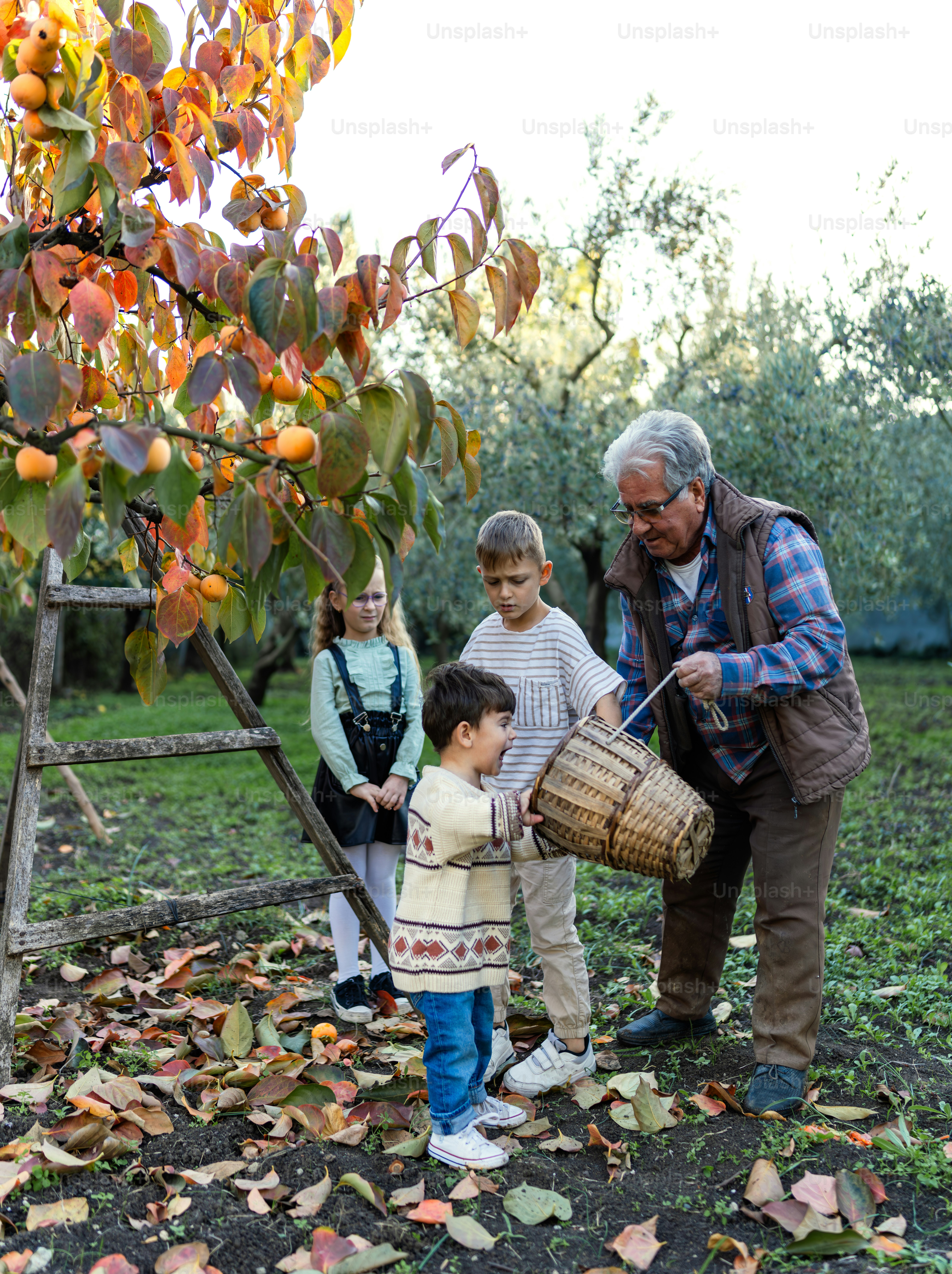A group of people standing around a tree