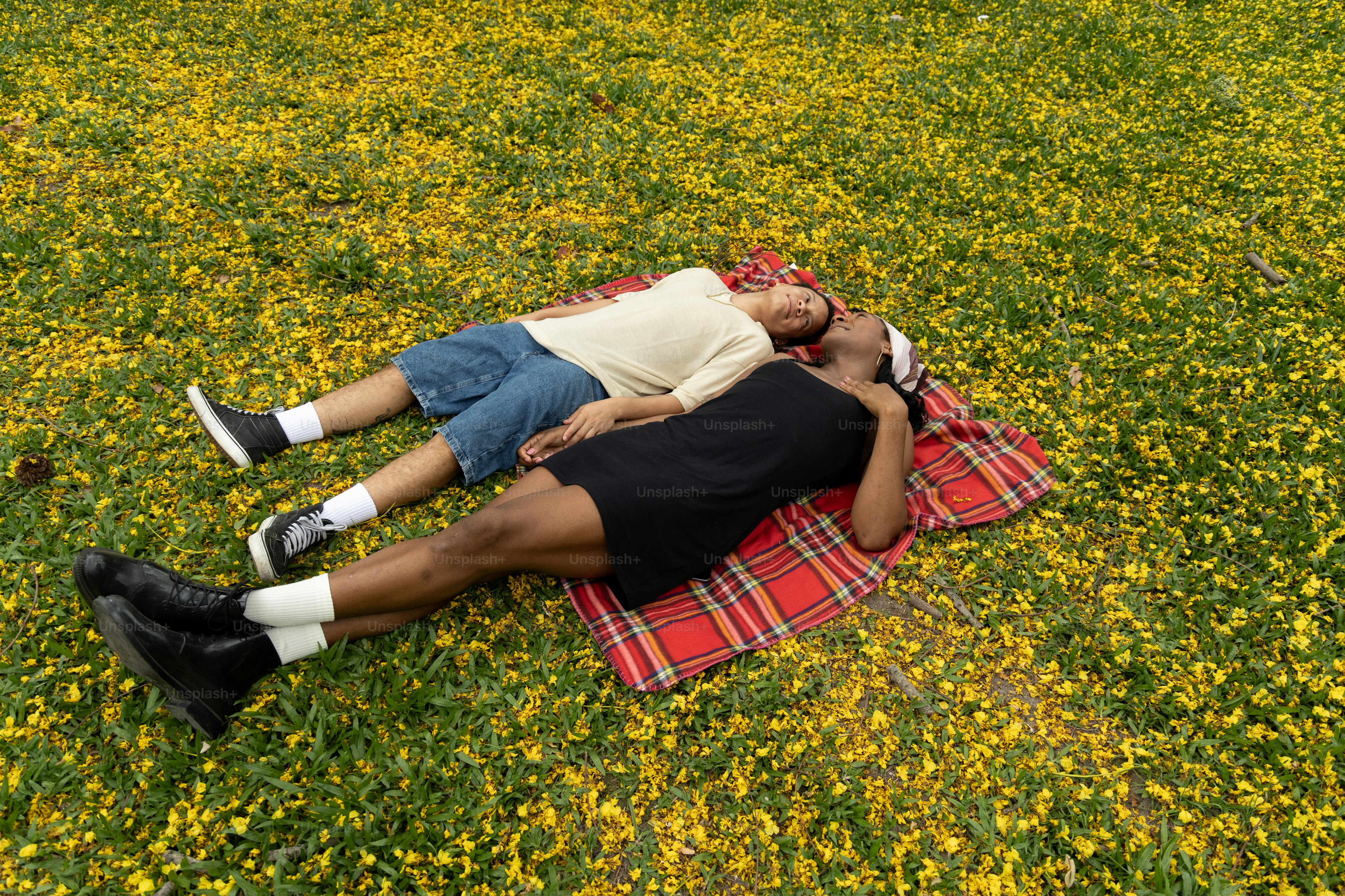 uno, coppia, persone, sdraiato, su, uno, campo, di, fiori
