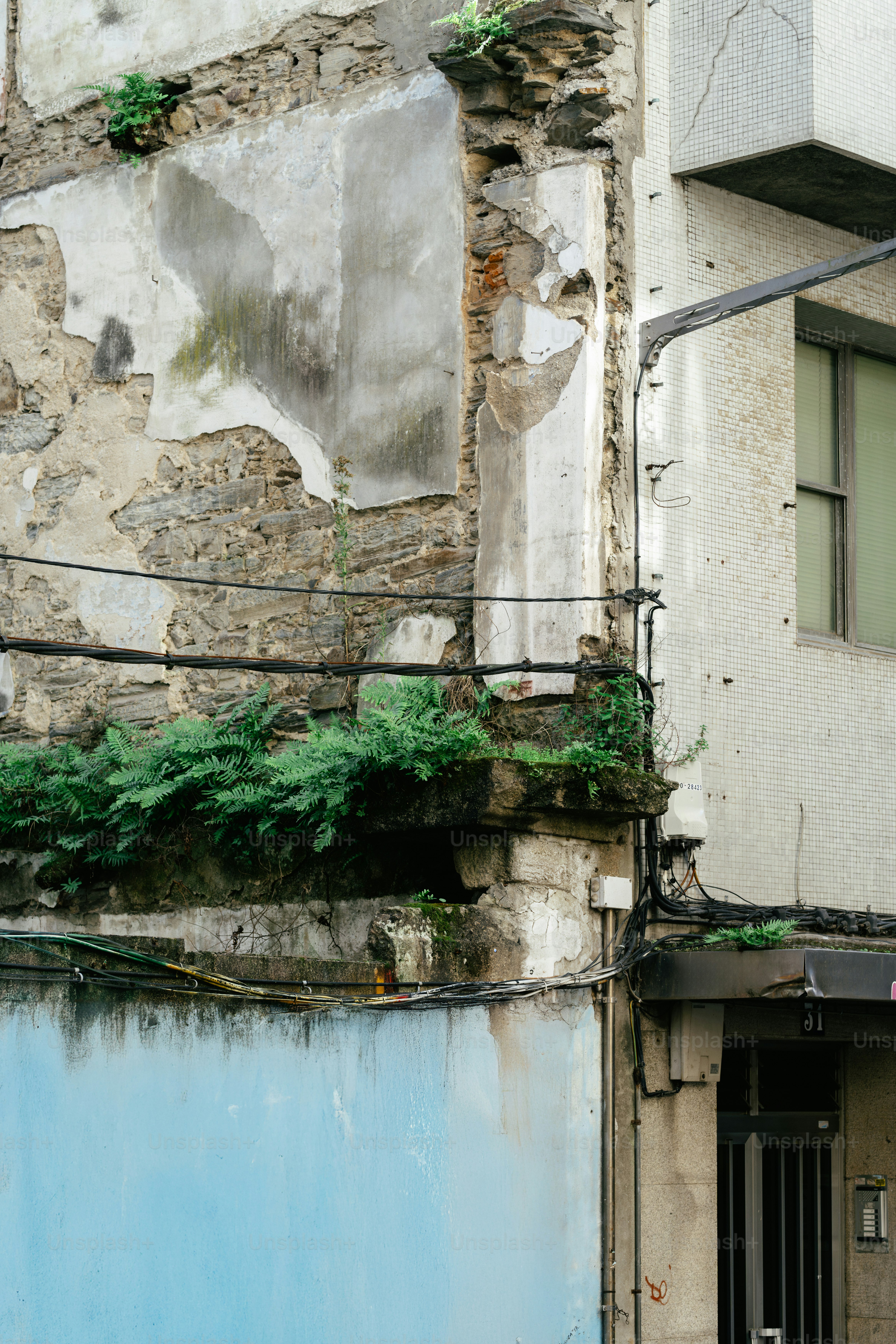 An old building with a blue door and a green plant growing on it