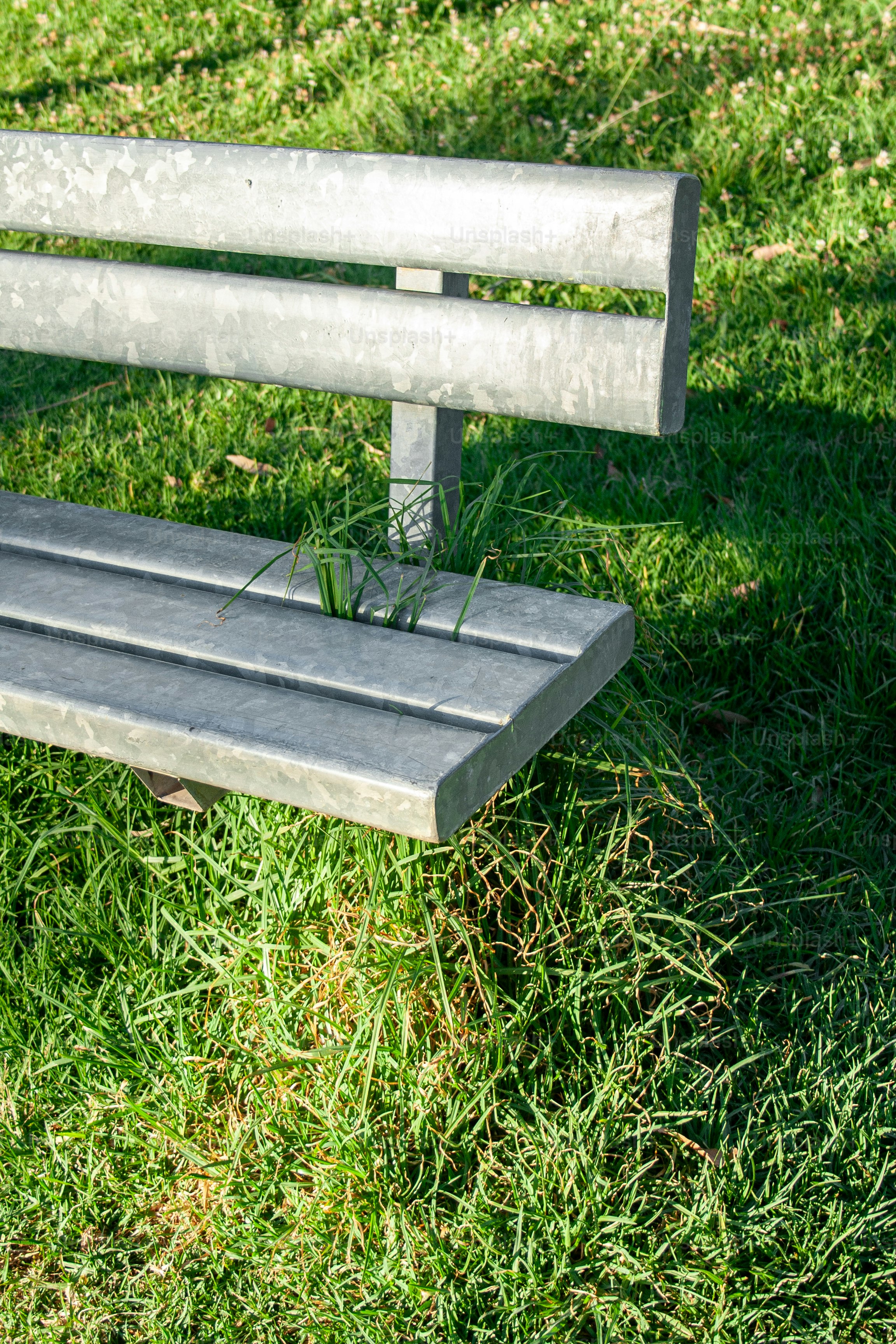 Eine Holzbank, die mitten auf einem Feld sitzt