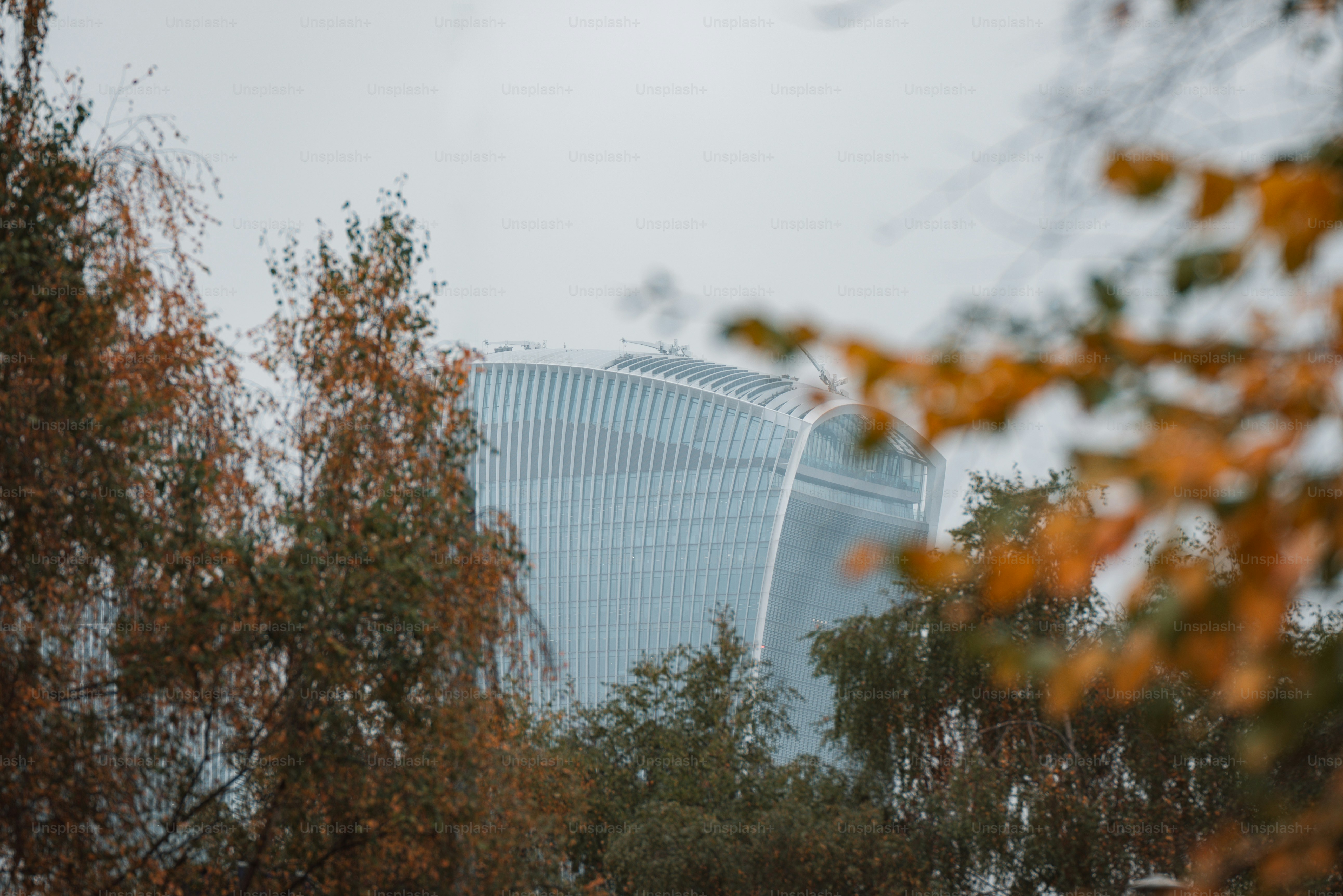 A view of a building through some trees