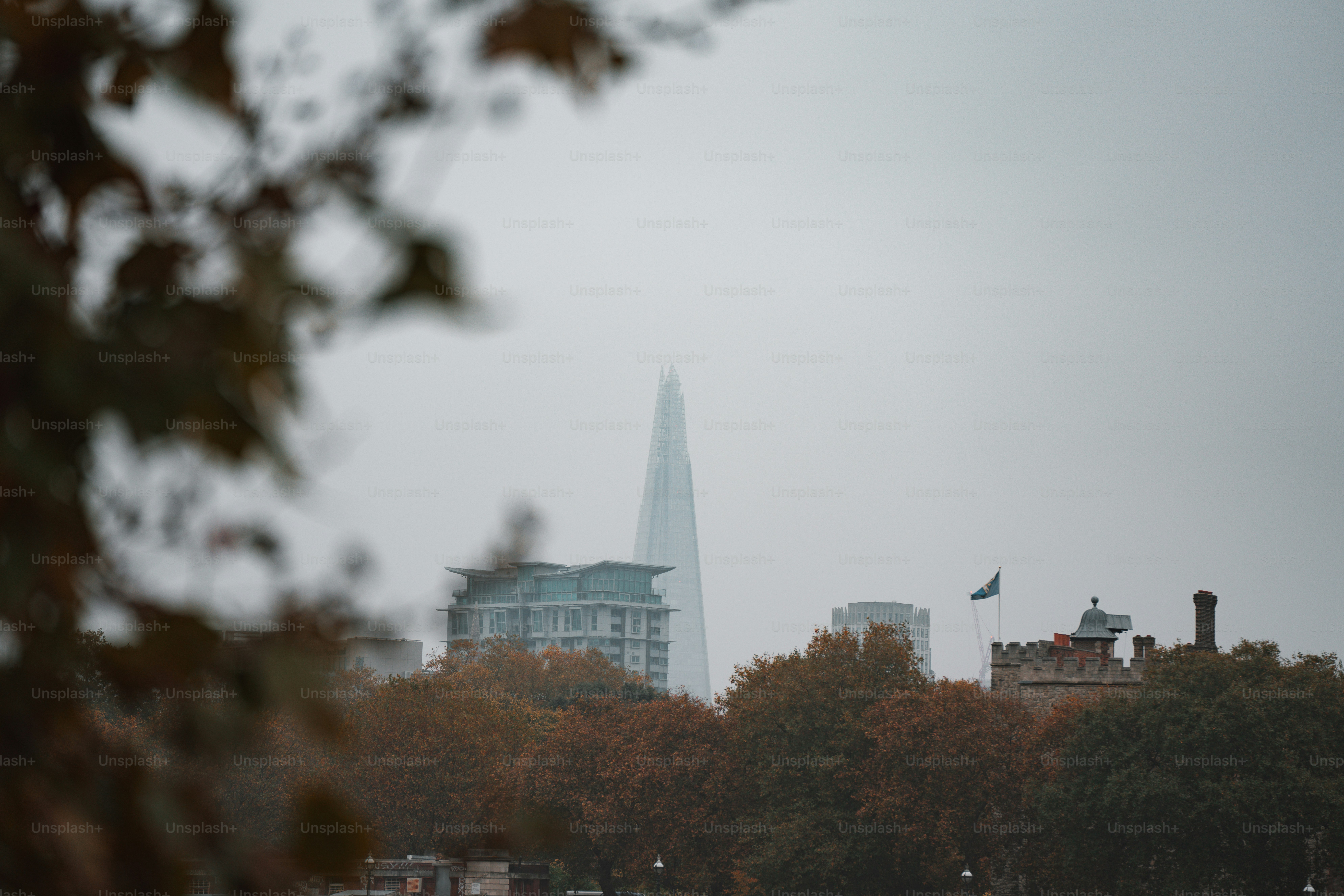 A view of a city from across the water