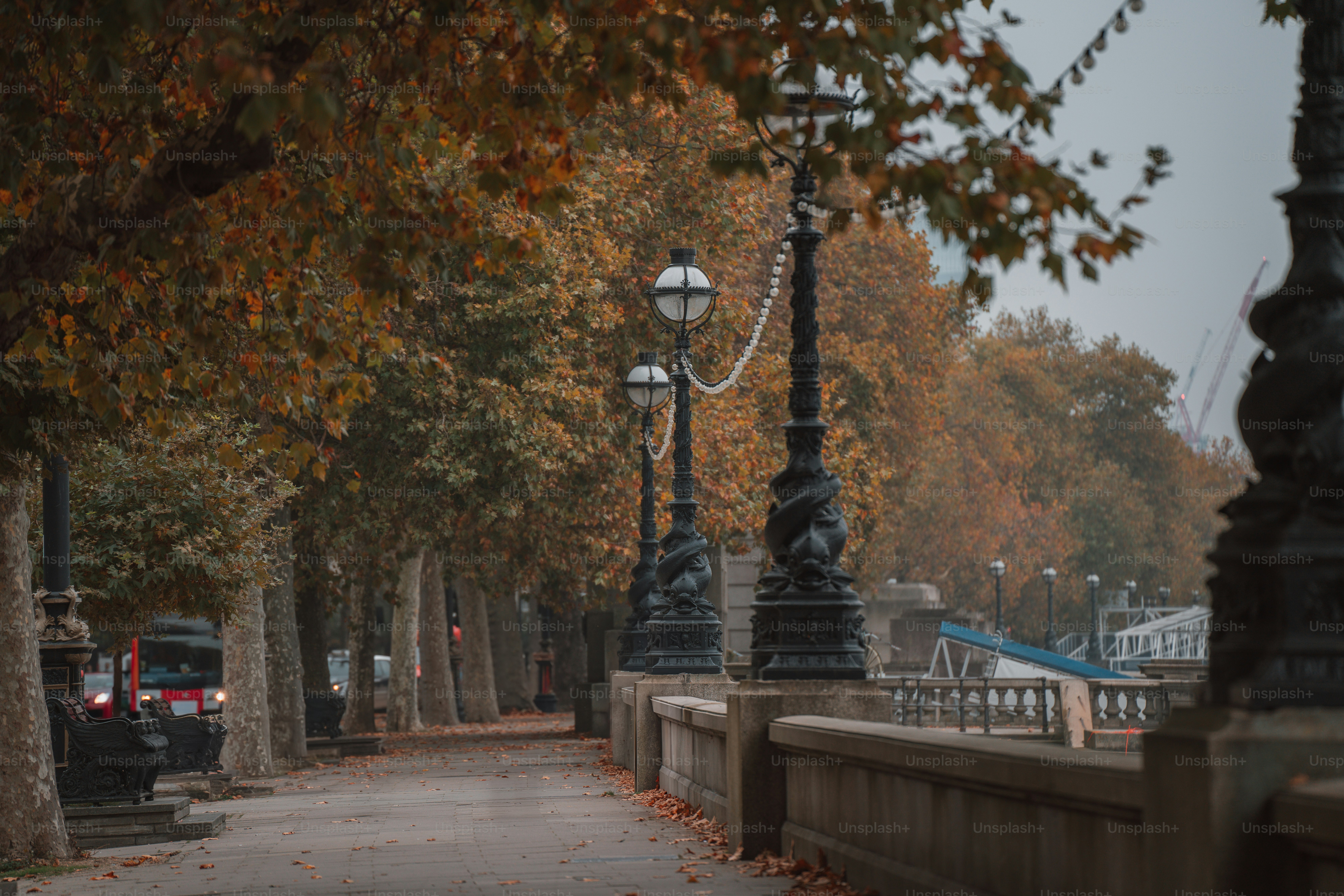 A city street lined with lots of trees