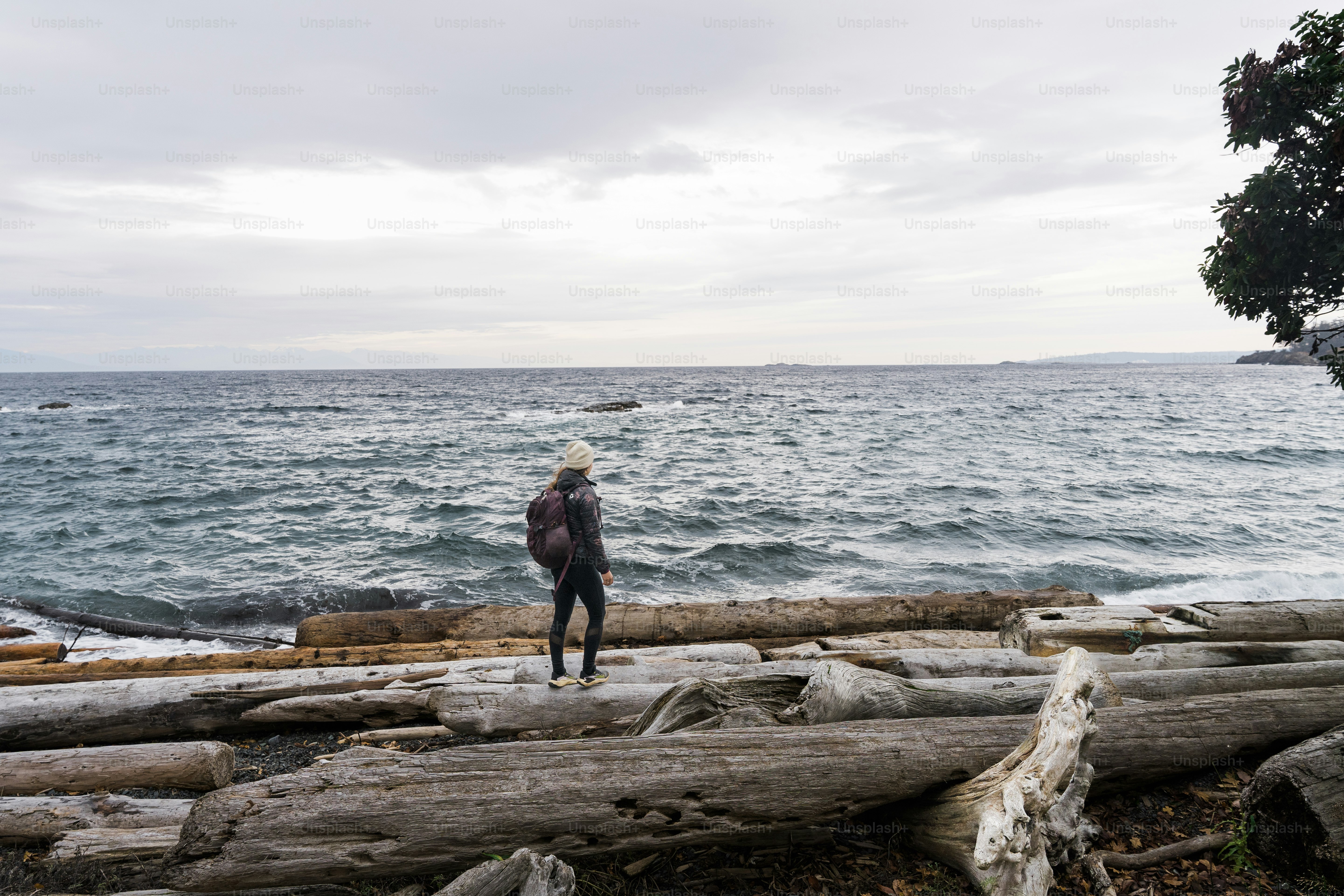 A person standing on a beach next to the ocean