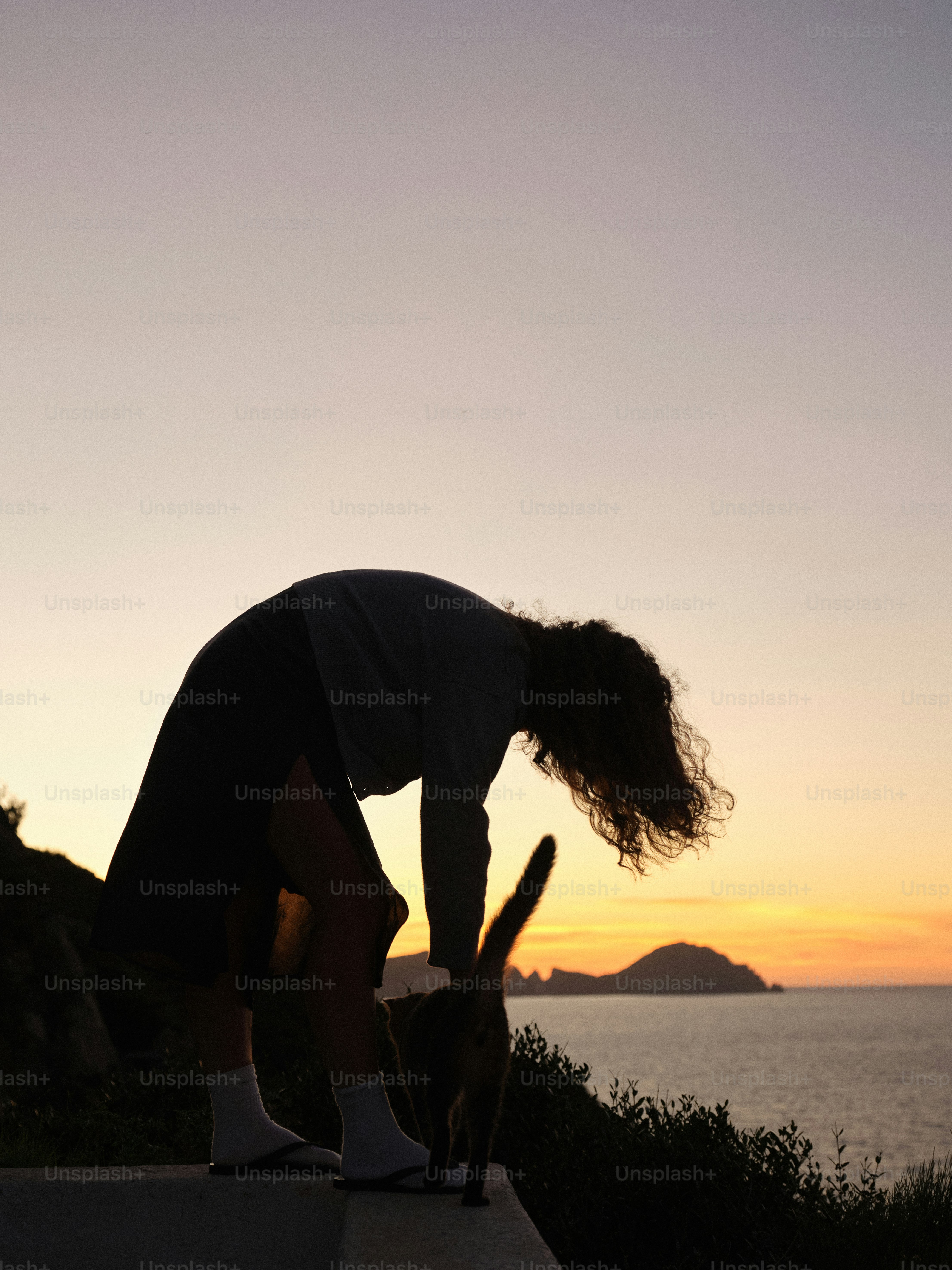 A person bending down with a dog in front of them