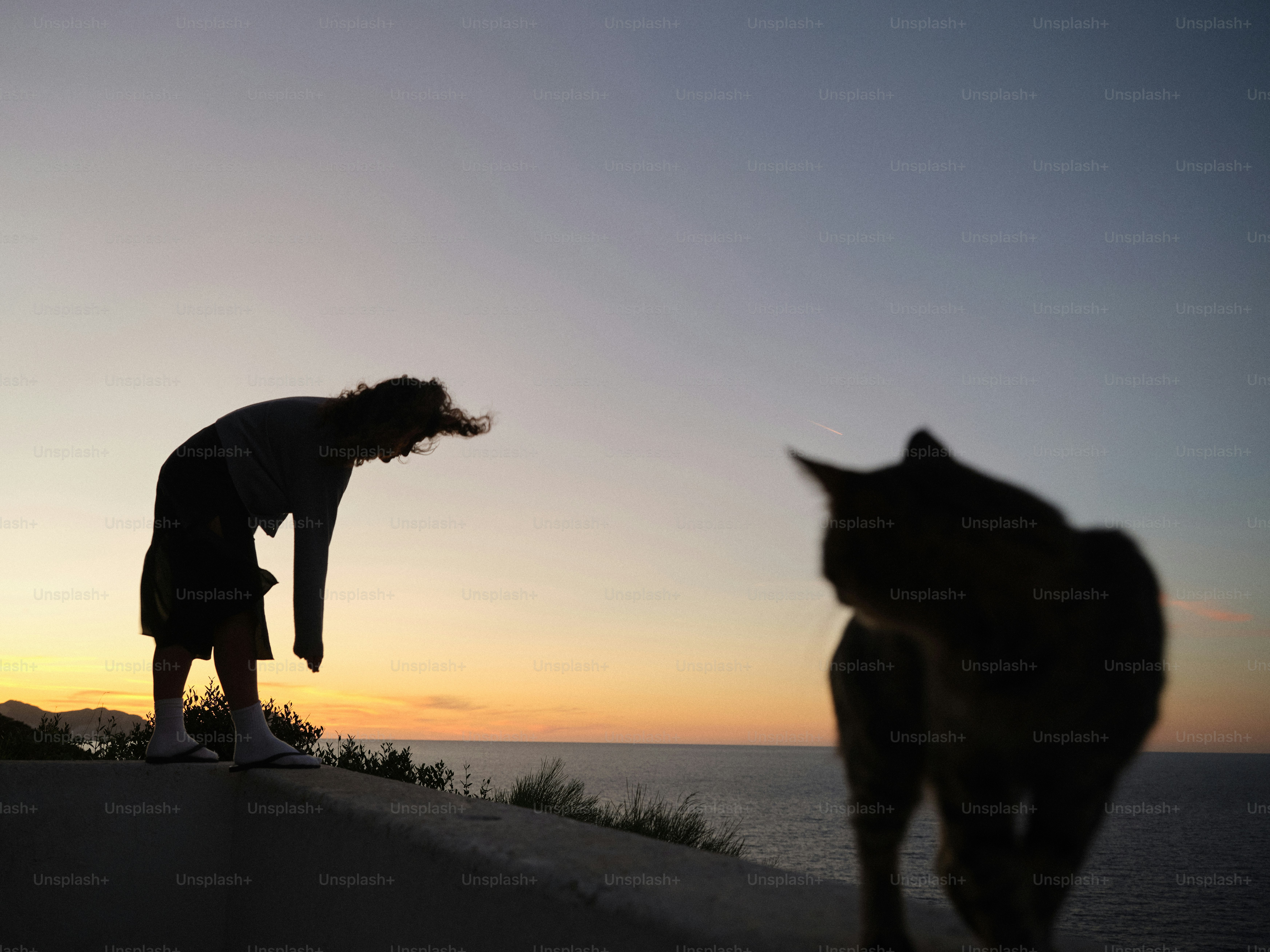 Um homem ao lado de um gato perto do oceano