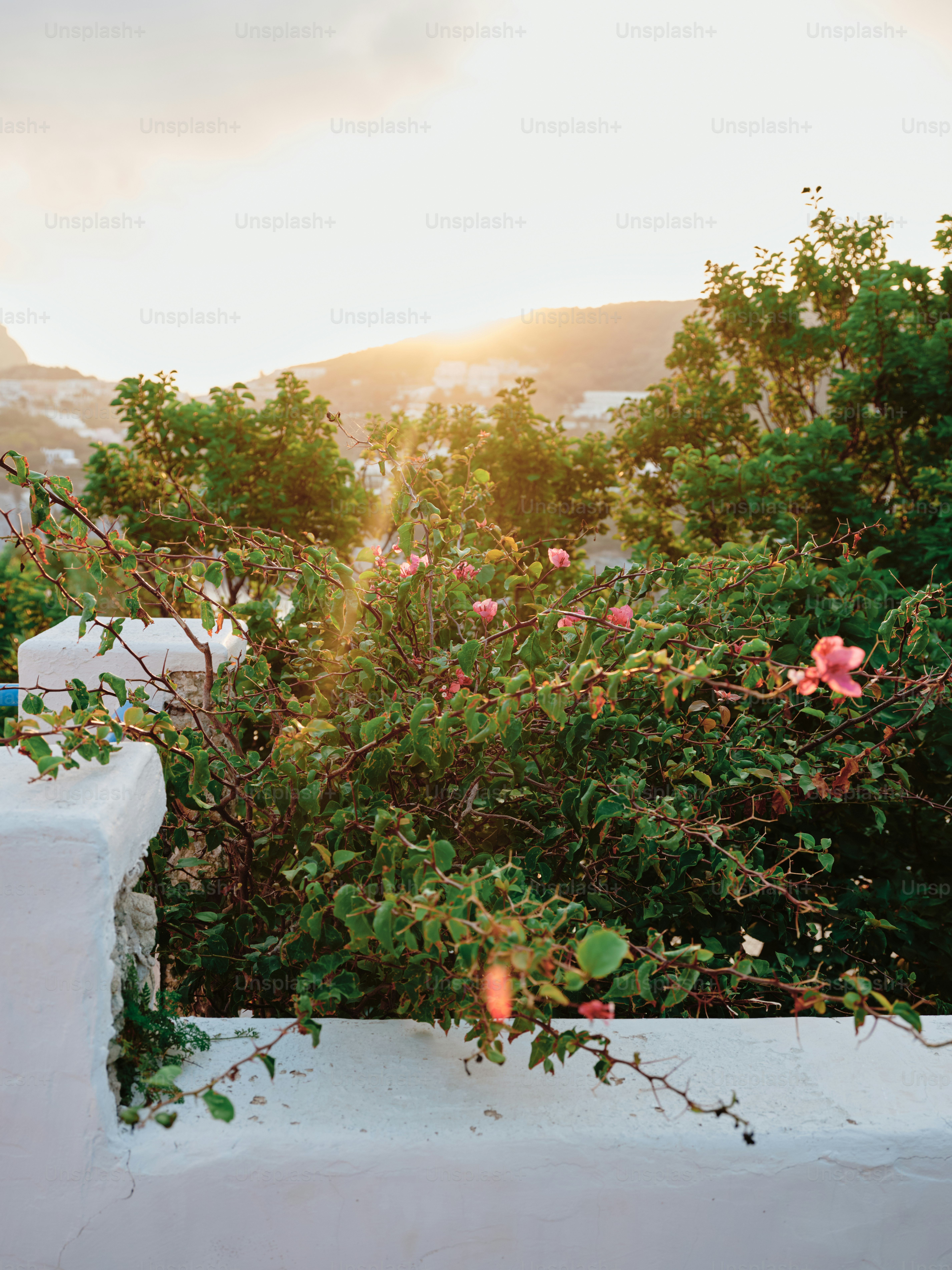 A white building with a view of the mountains
