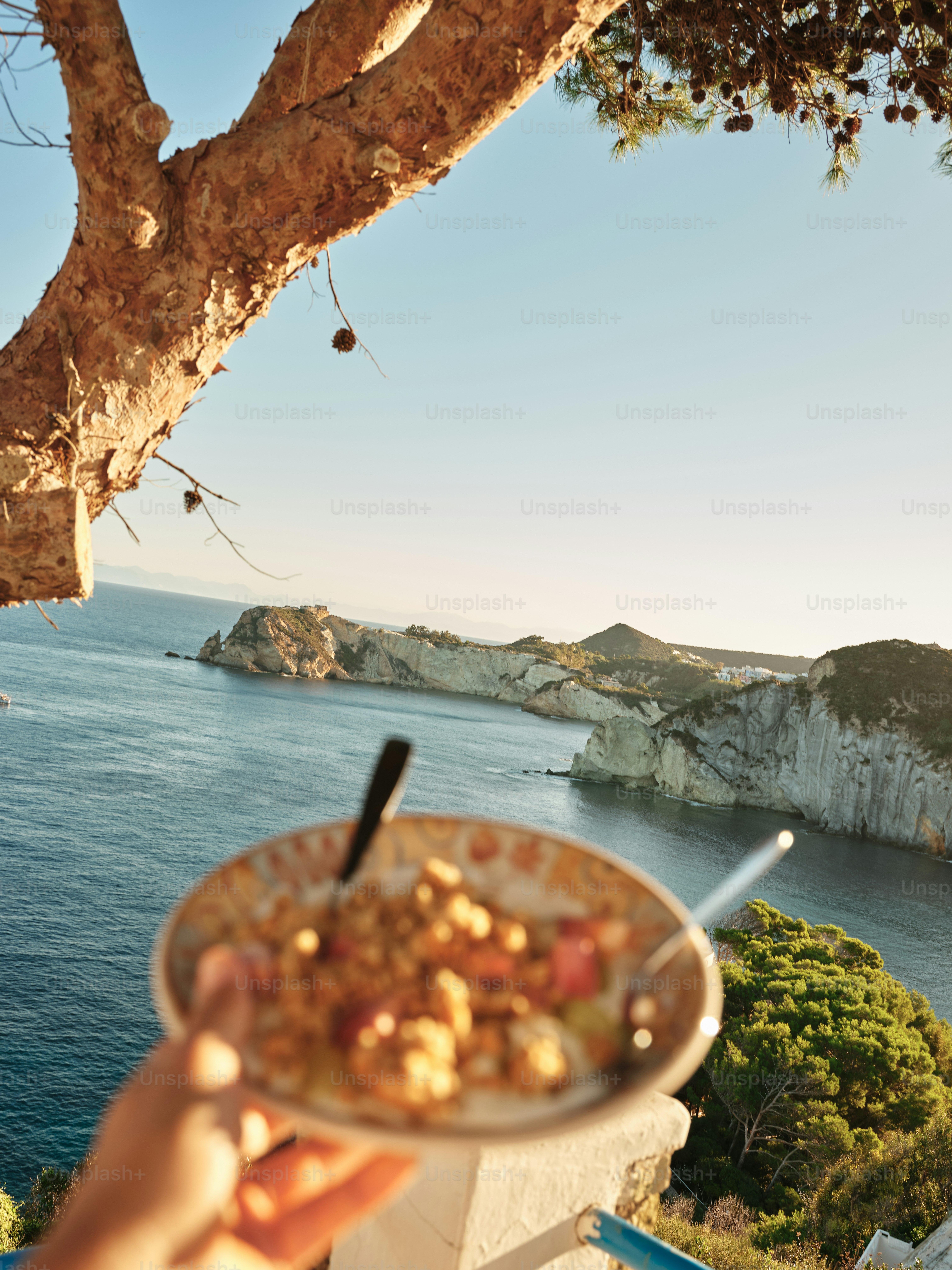 A person holding a bowl of food in front of a tree
