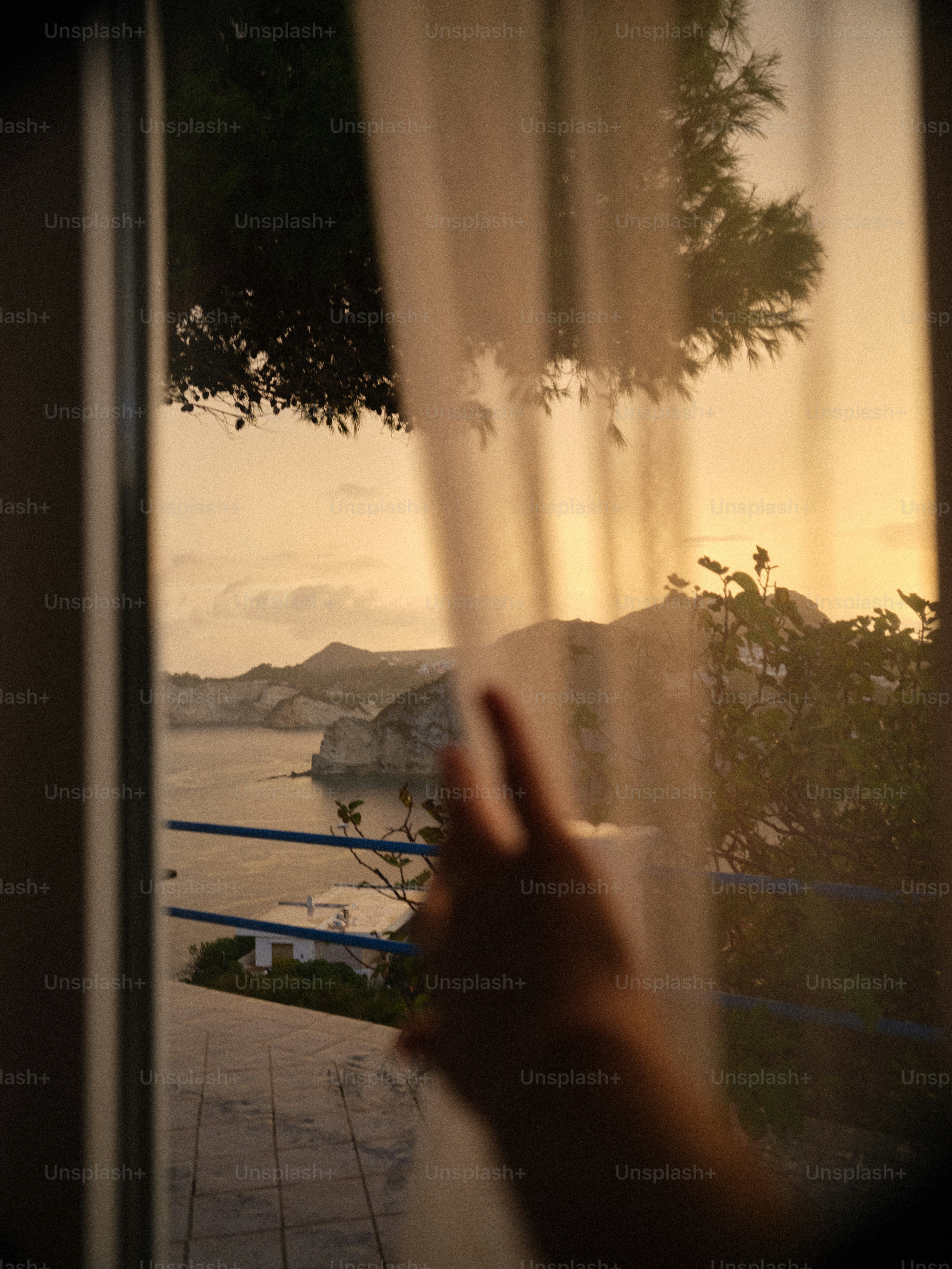 A person is looking out a window at the water