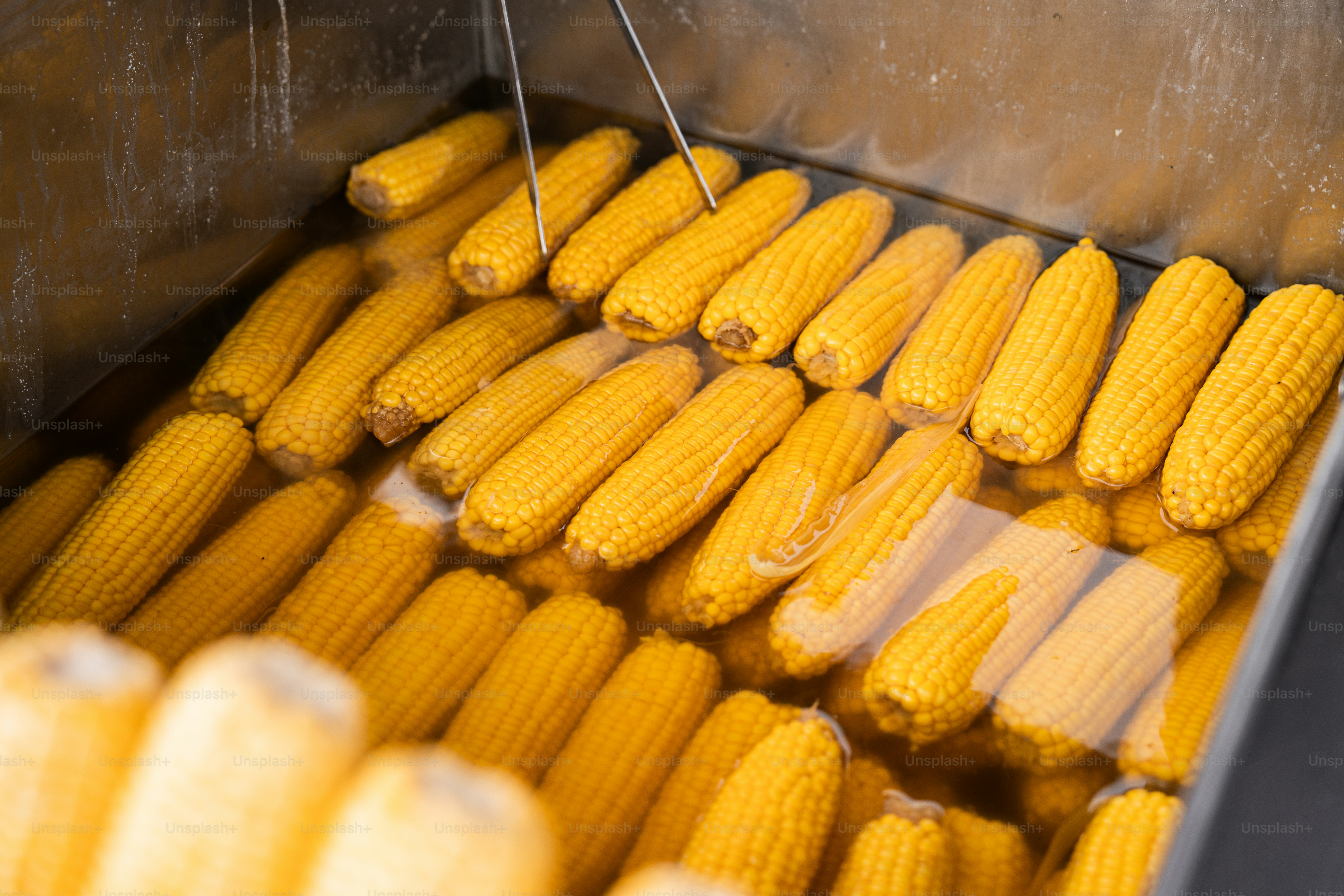 A bunch of corn sitting on top of a conveyor belt