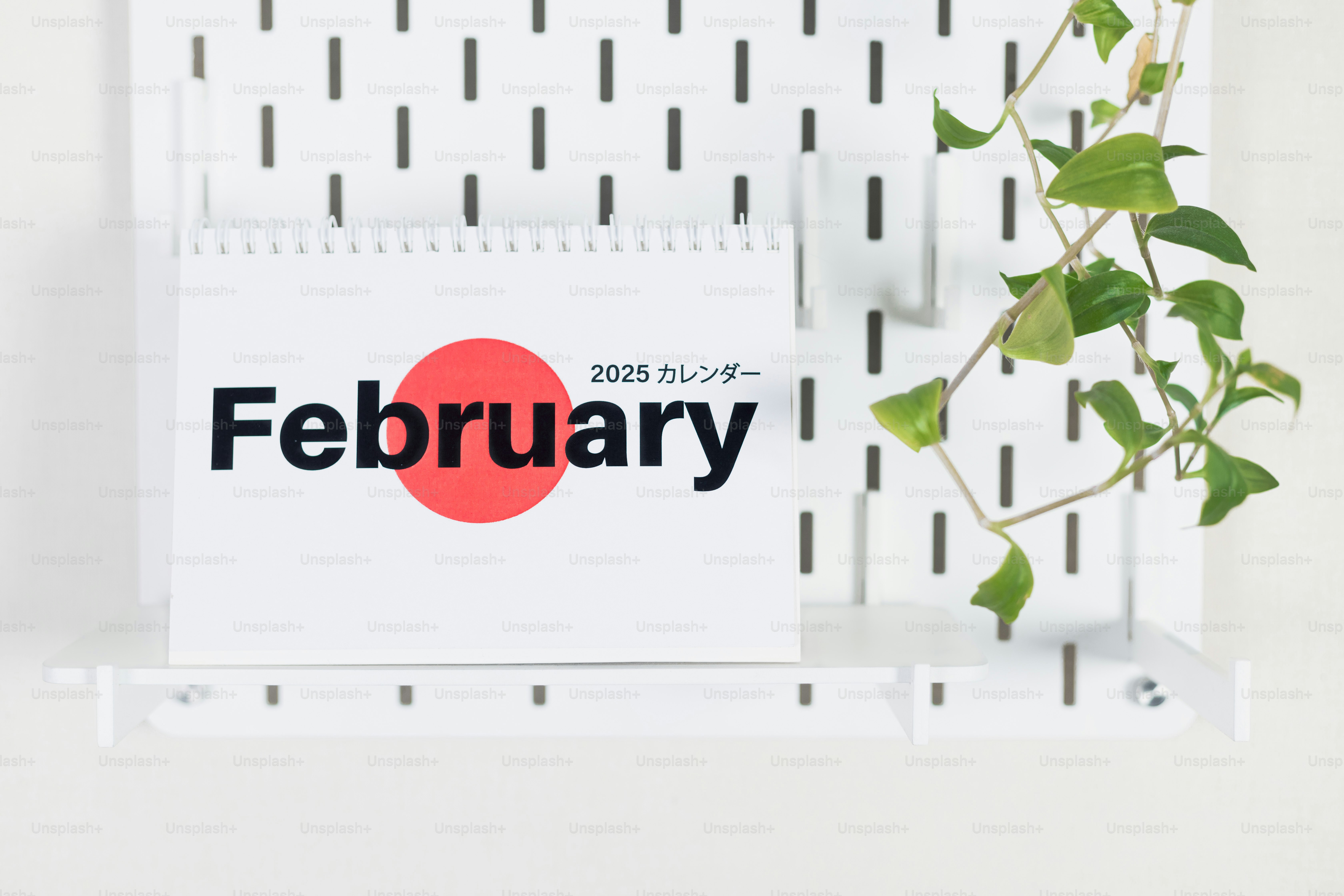 A calendar with a plant in front of it