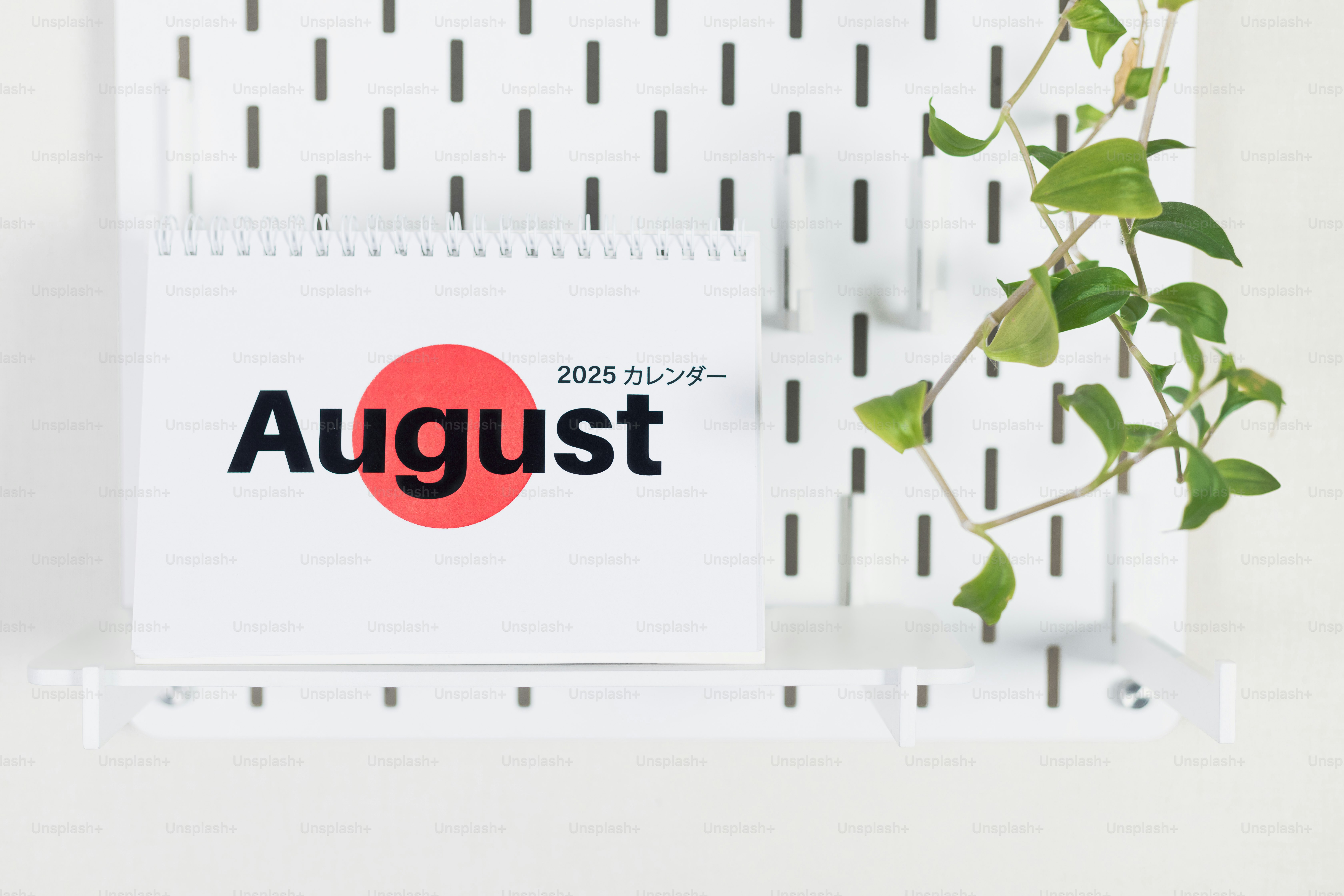 A white shelf with a plant and a calendar on it