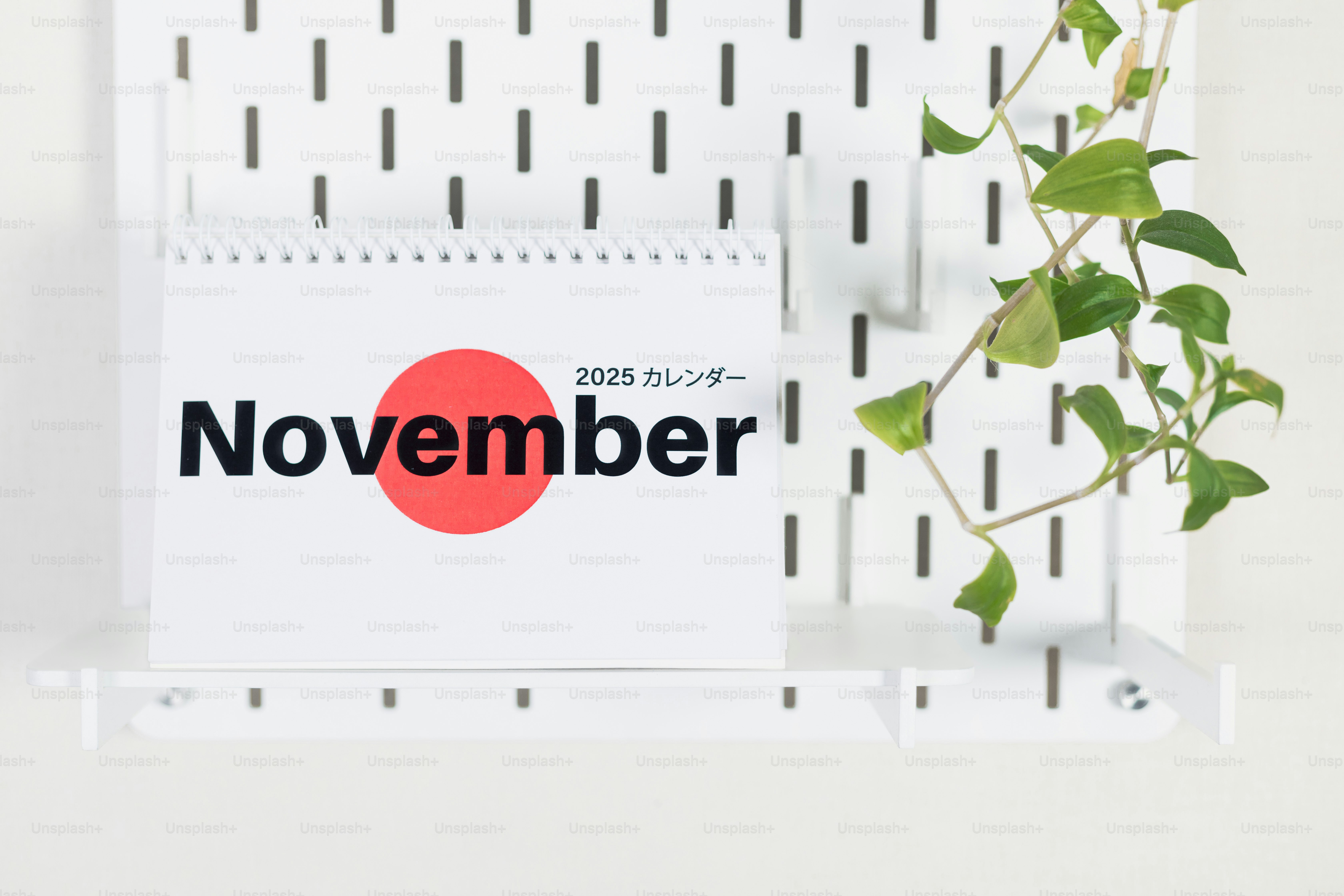 A white shelf with a plant on top of it