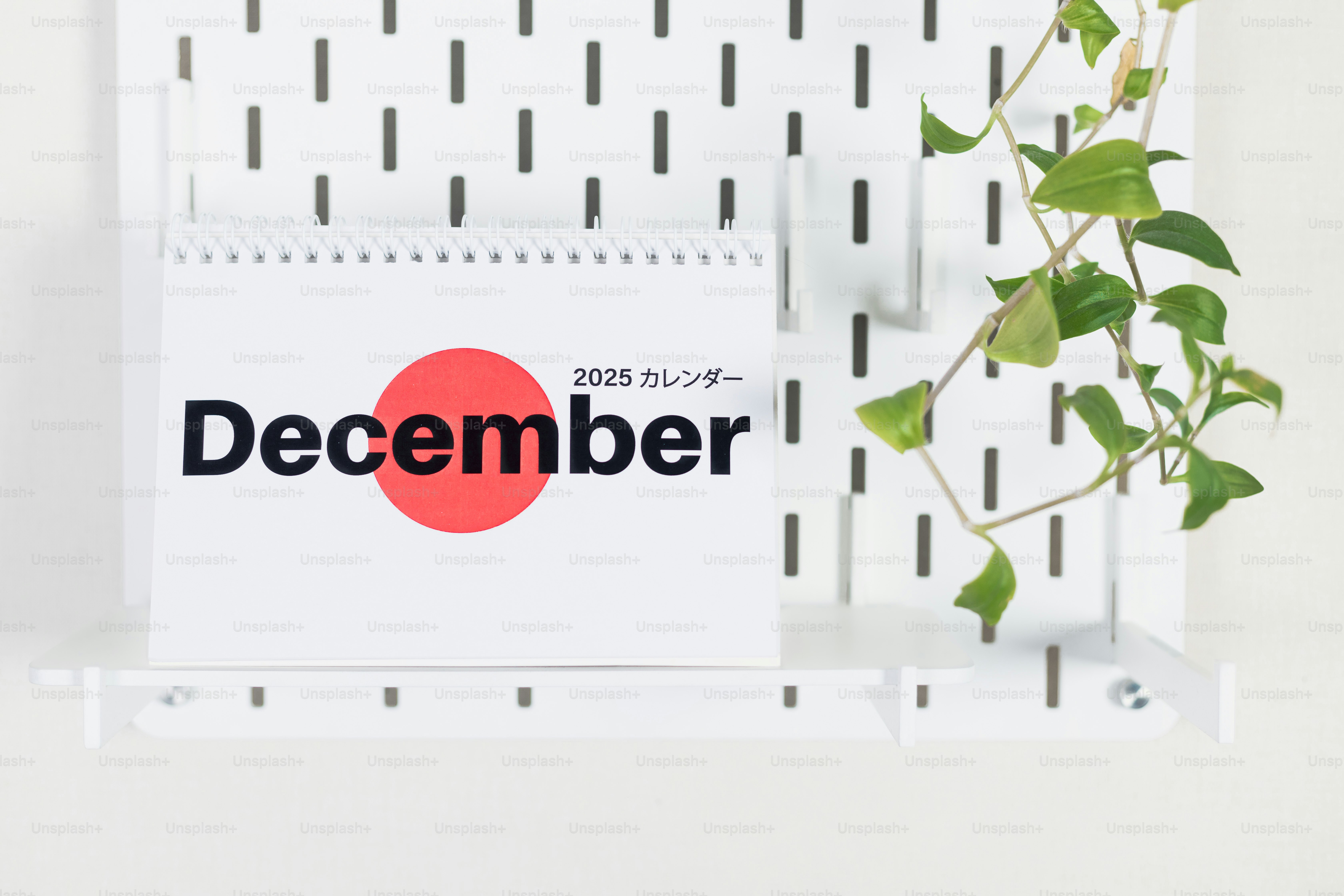 A white shelf with a plant on top of it