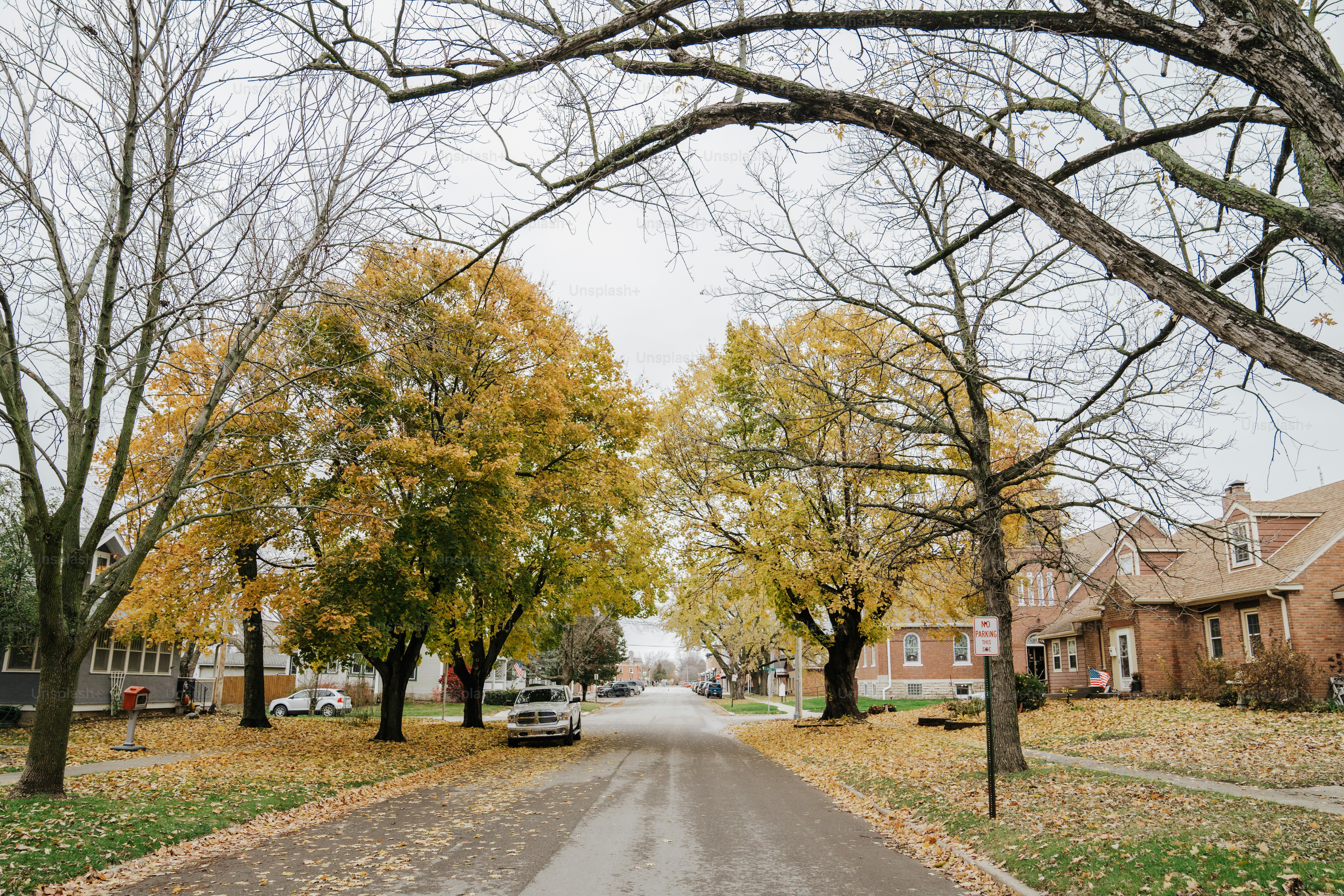 A tree lined street in a residential neighborhood