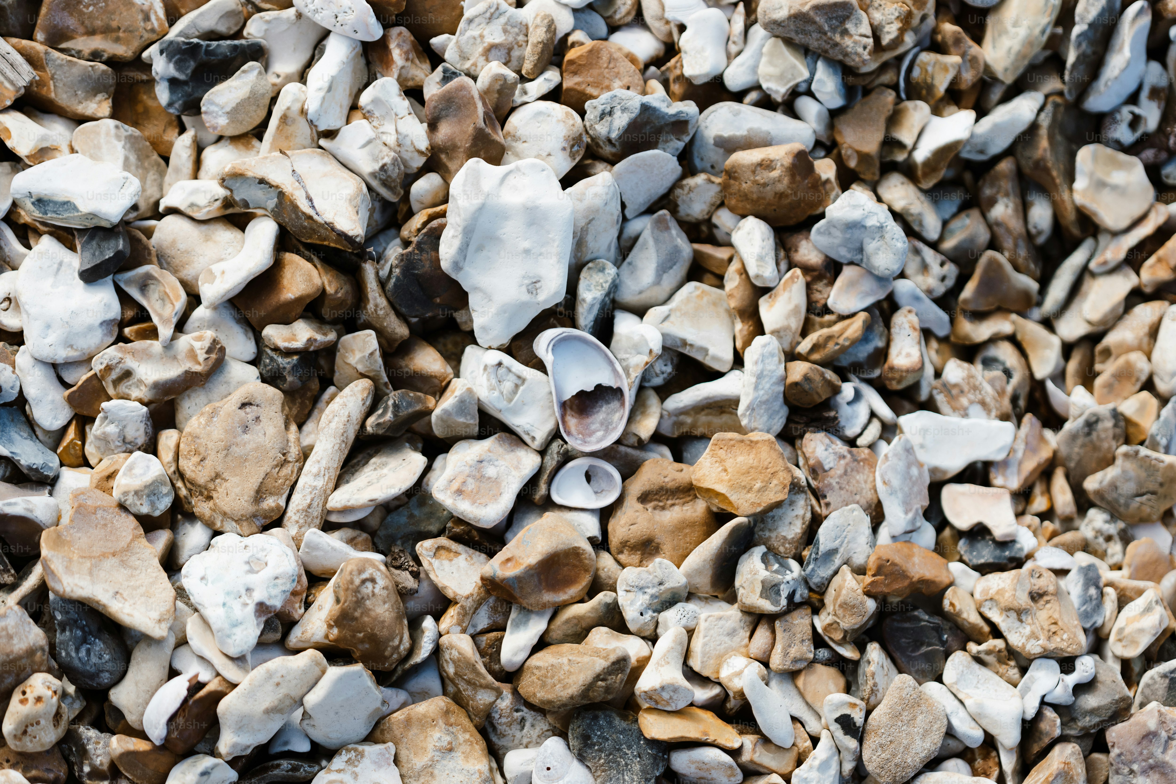 A close up of a pile of rocks