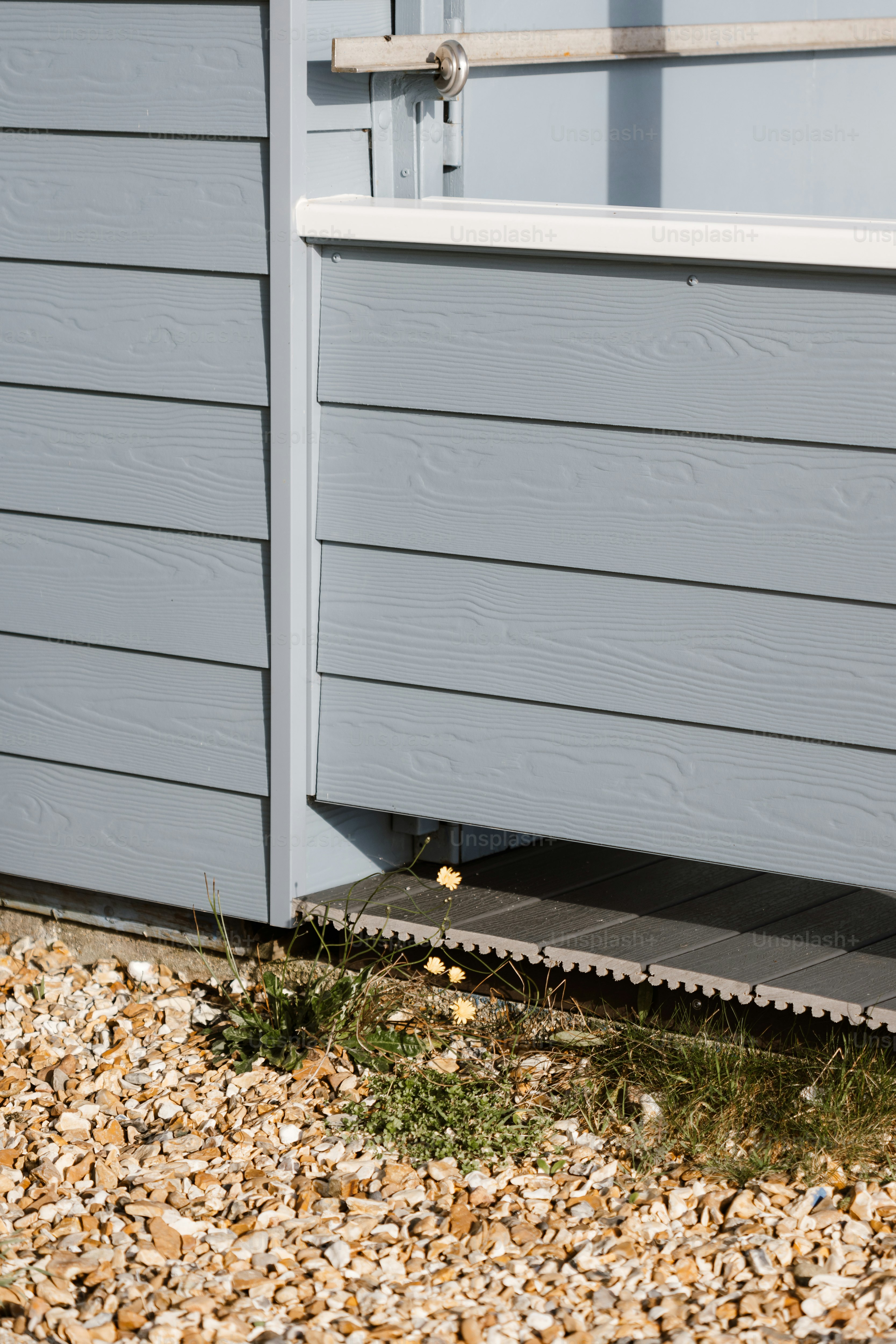 A dog is standing outside of a dog house