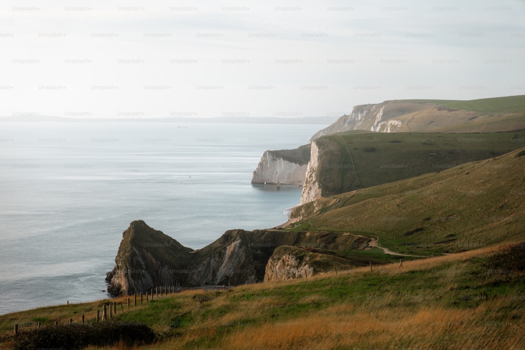 A grassy hill with a body of water in the background
