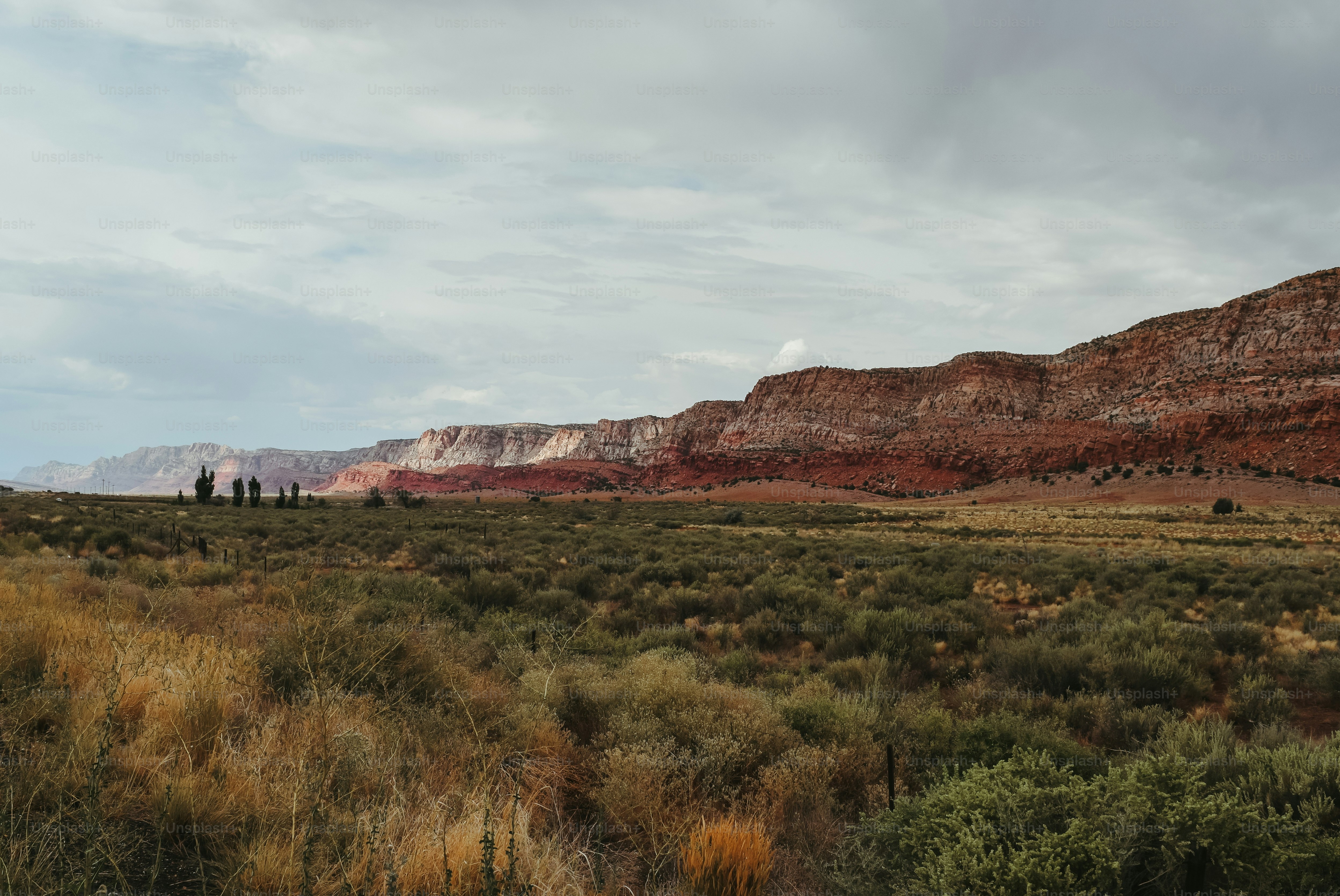 A large open field with a mountain in the background