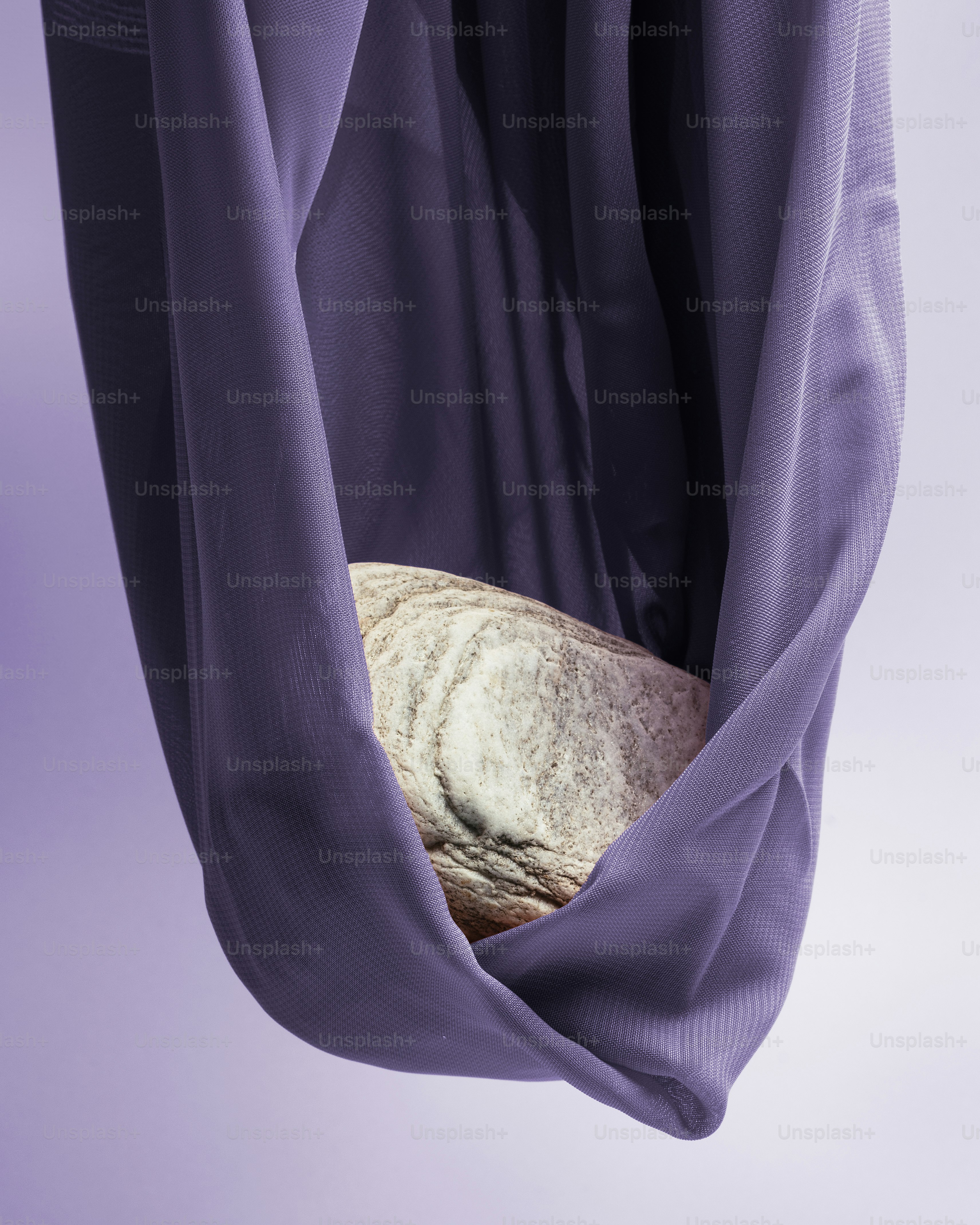 Un gatto dorme su un'amaca viola