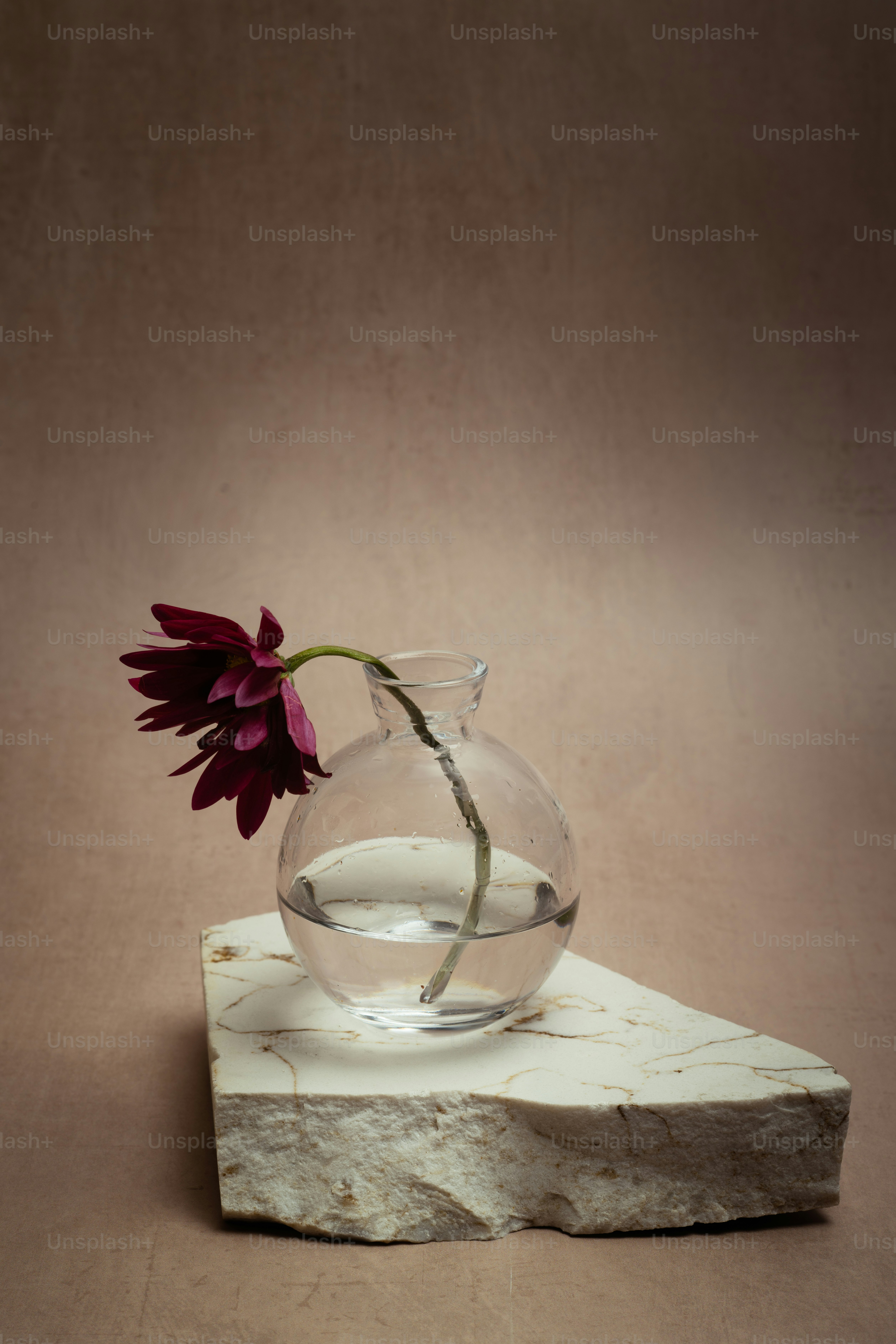 Un vase avec une fleur à l’intérieur posé sur un rocher