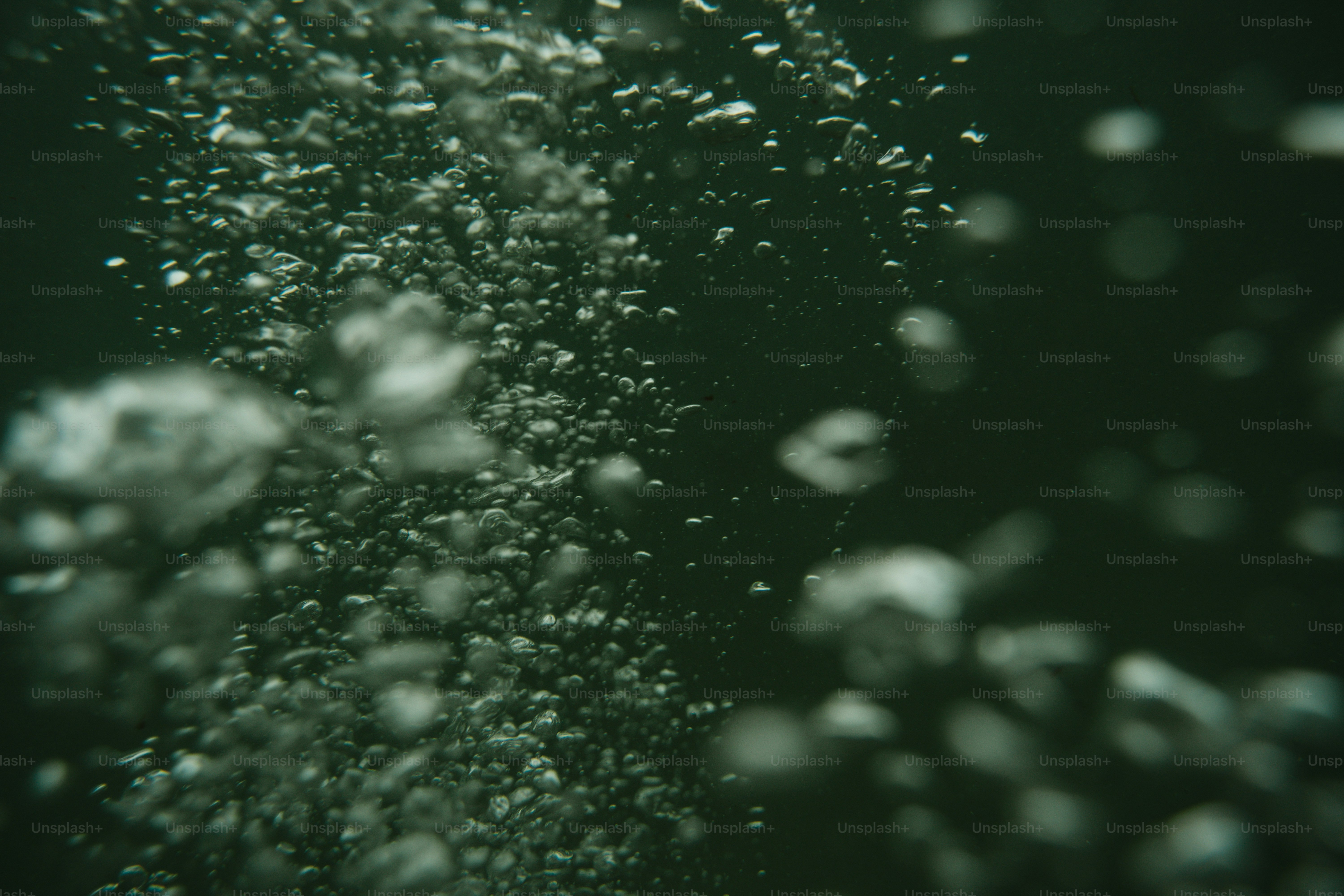 A black and white photo of bubbles in water