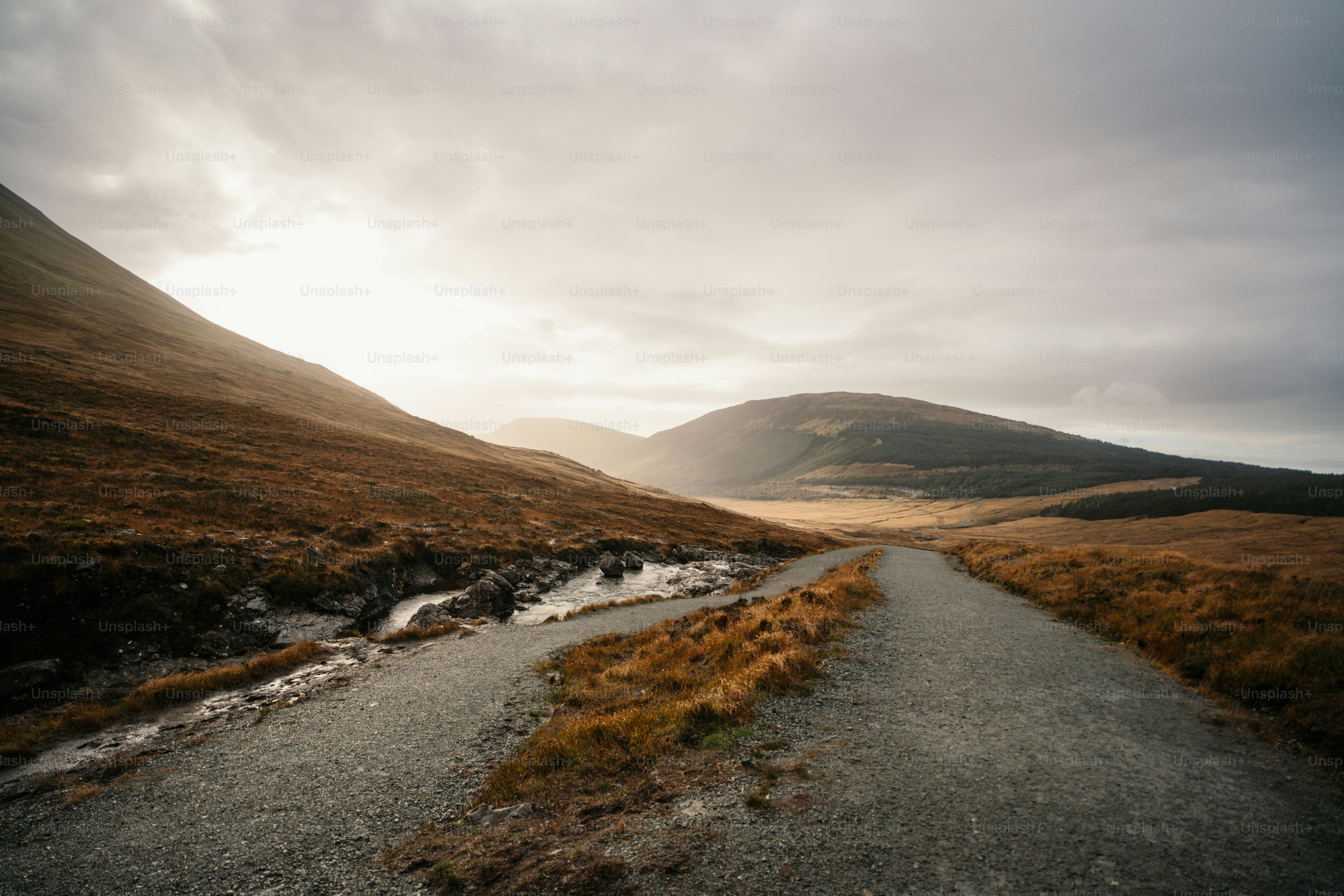 A dirt road in the middle of a grassy field