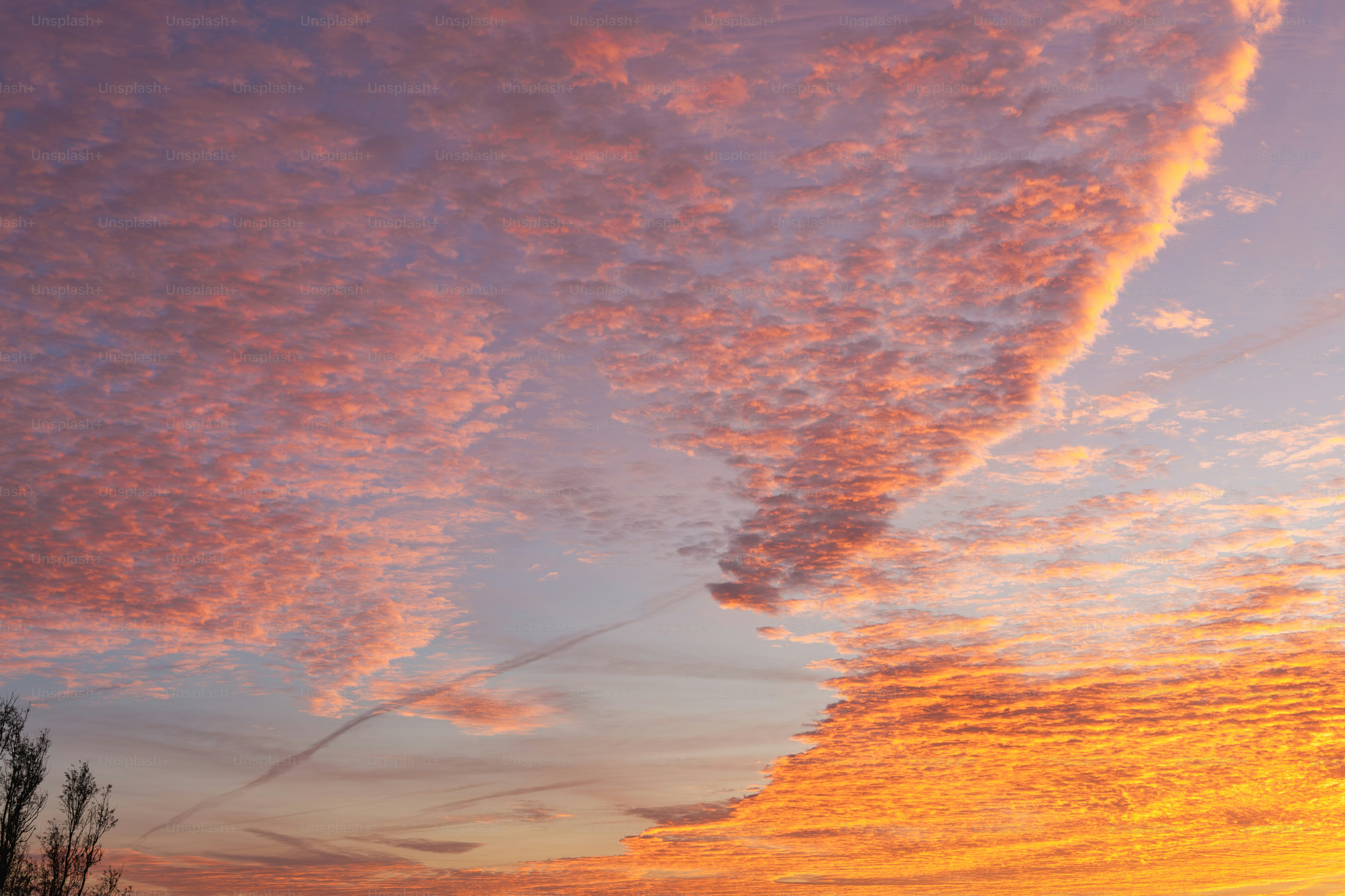 Ein Sonnenuntergang mit Wolken am Himmel und Bäumen im Vordergrund