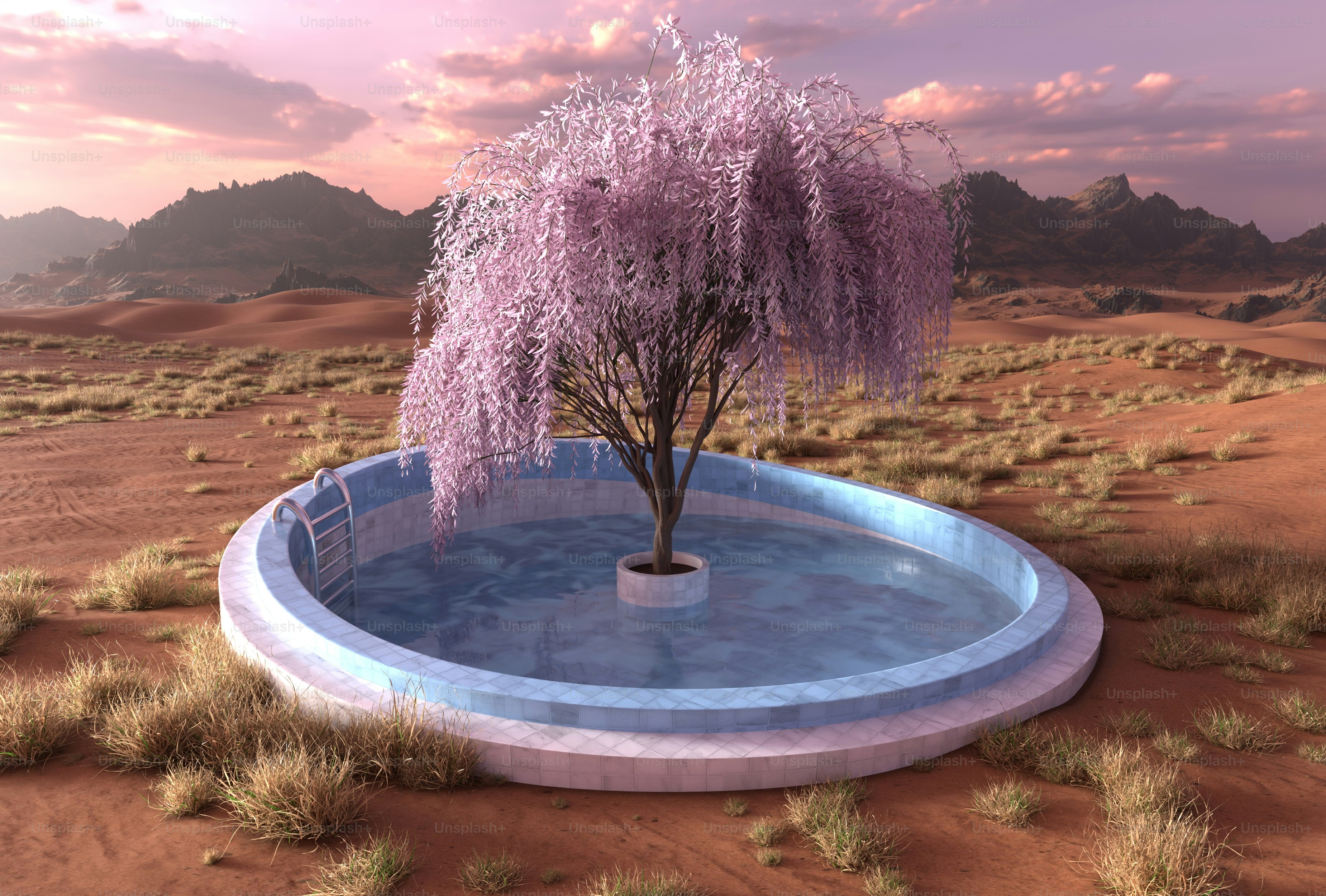 Un árbol en un estanque en el desierto