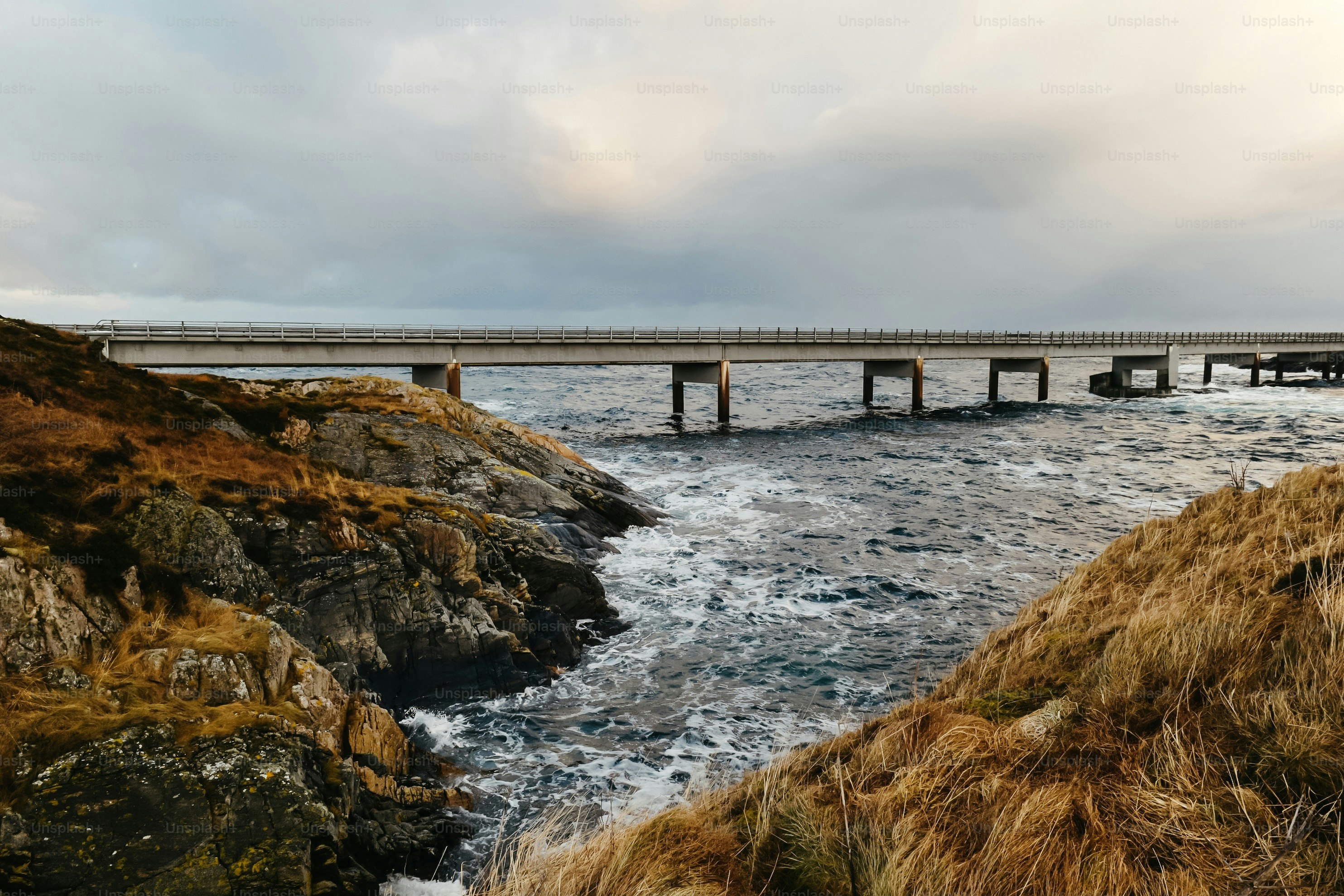 A body of water with a bridge in the background