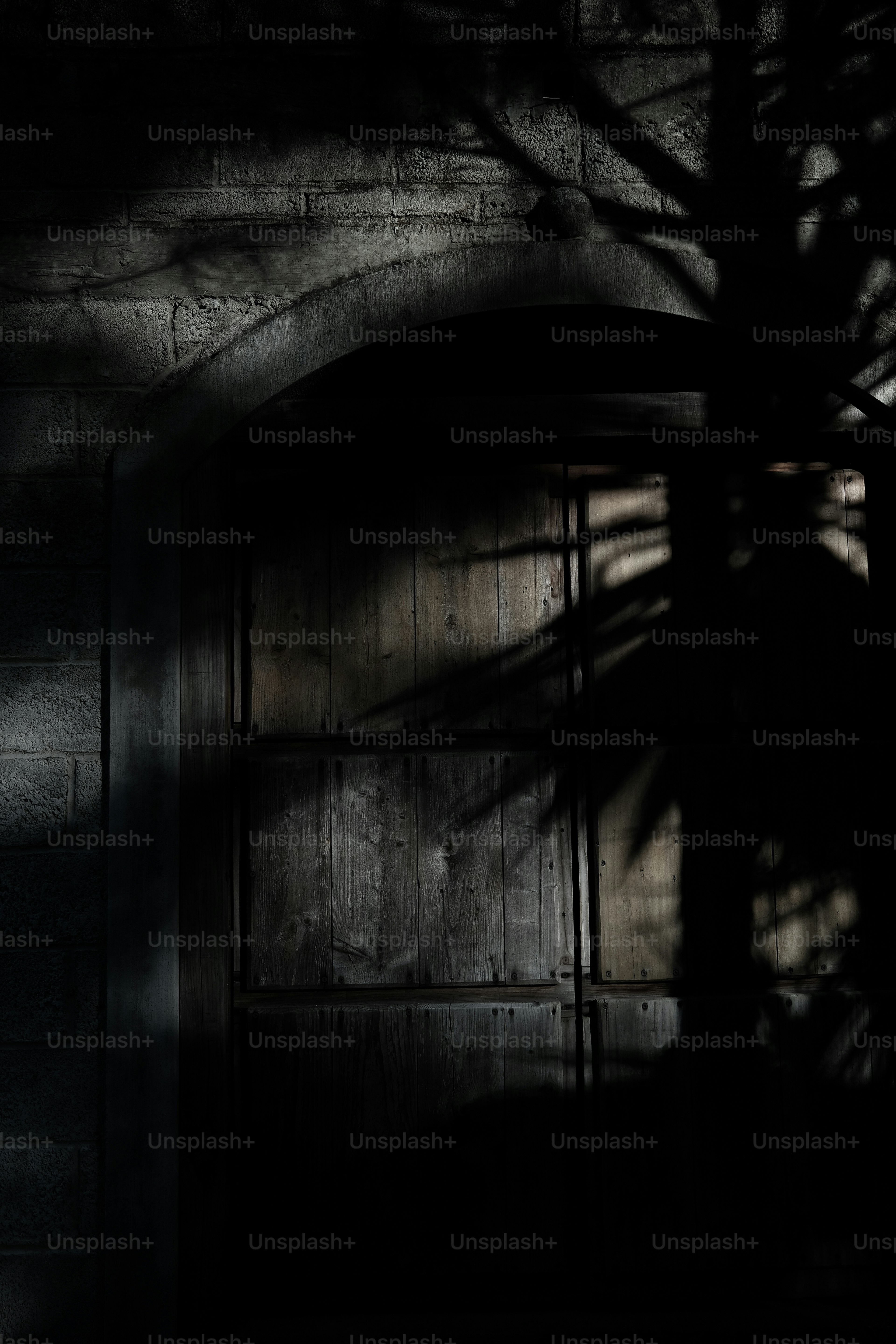 Der Schatten eines Baumes an einer Wand