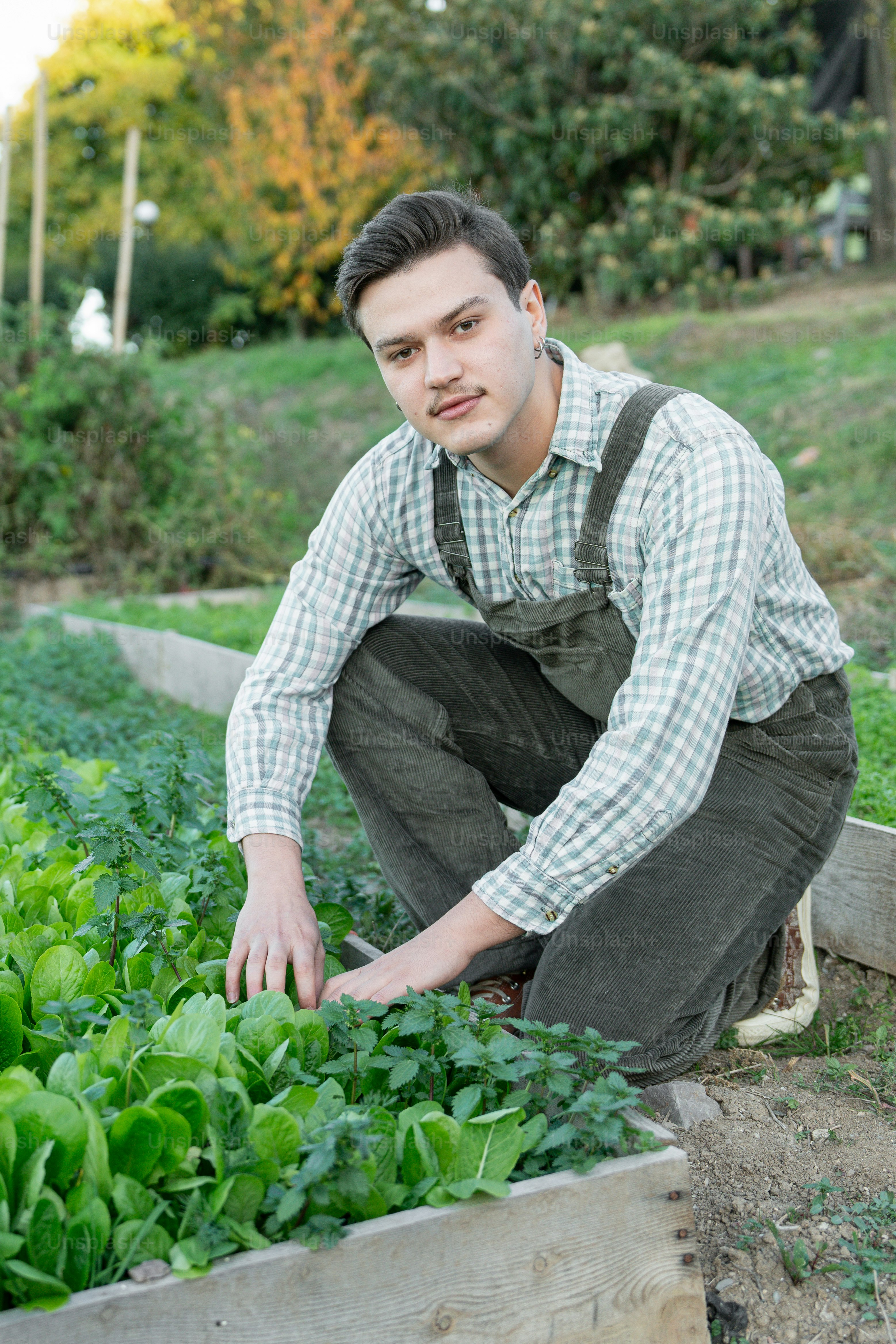 A man kneeling down in front of a garden