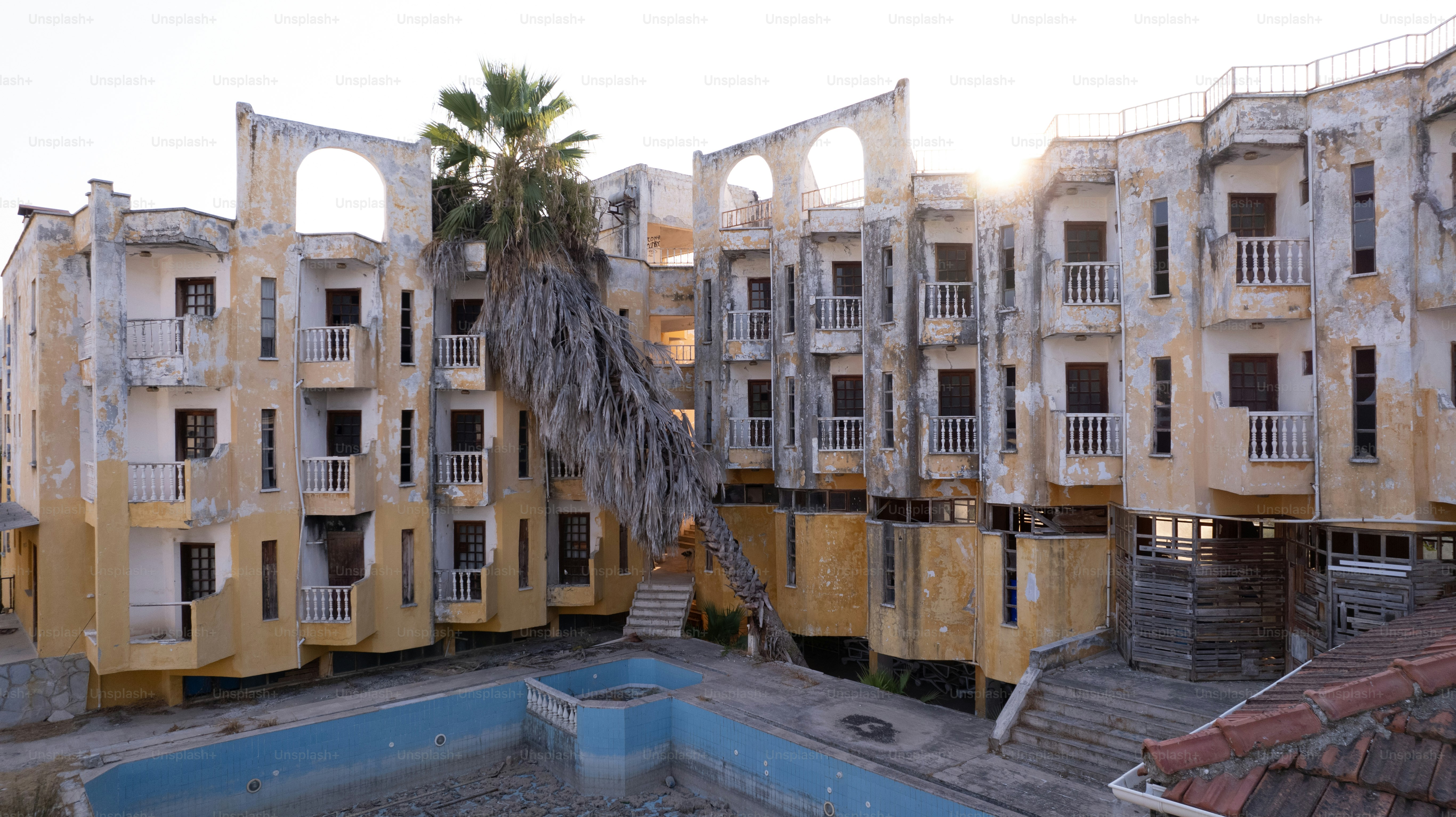 A large building with a palm tree growing out of it
