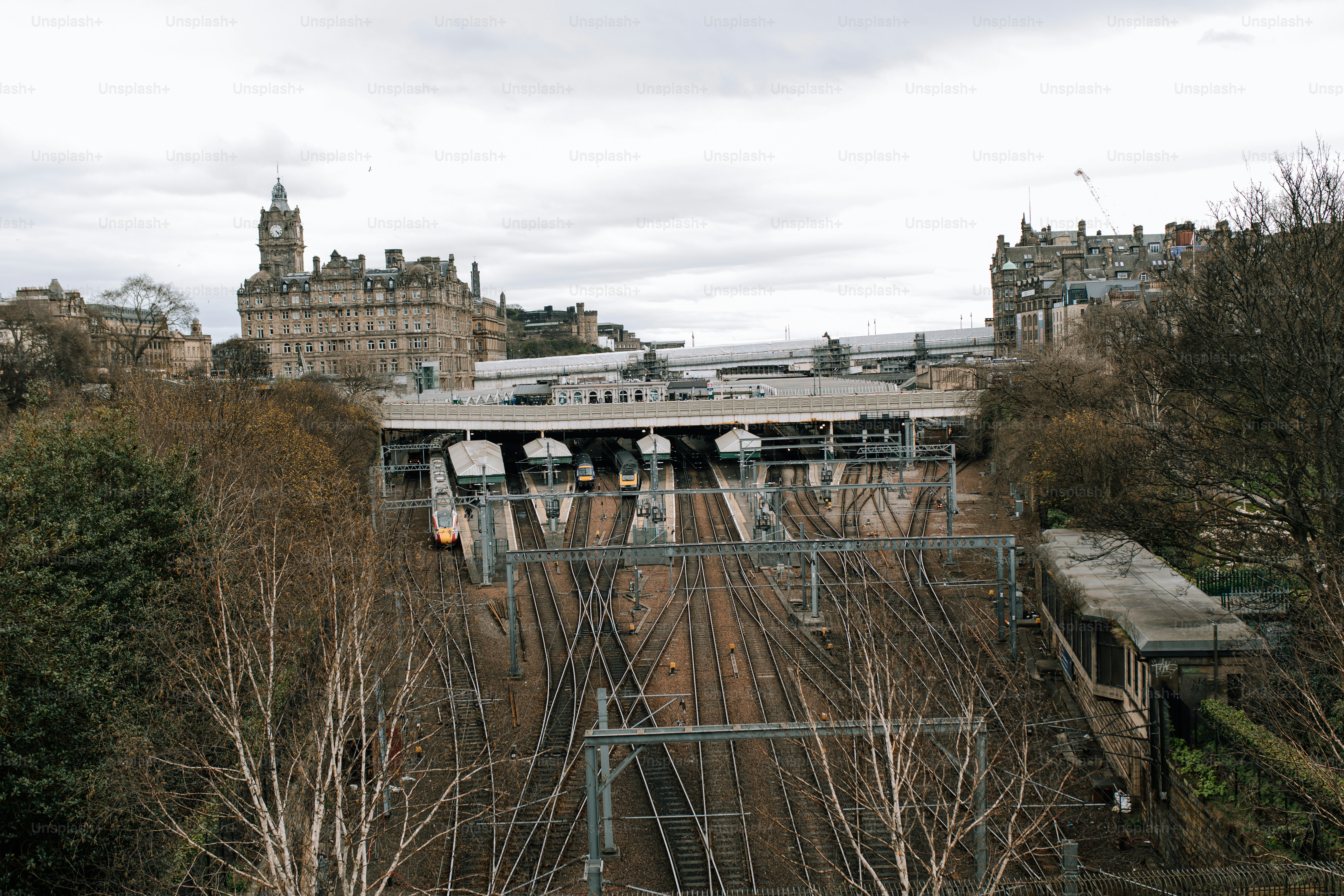 A train traveling down train tracks next to a forest