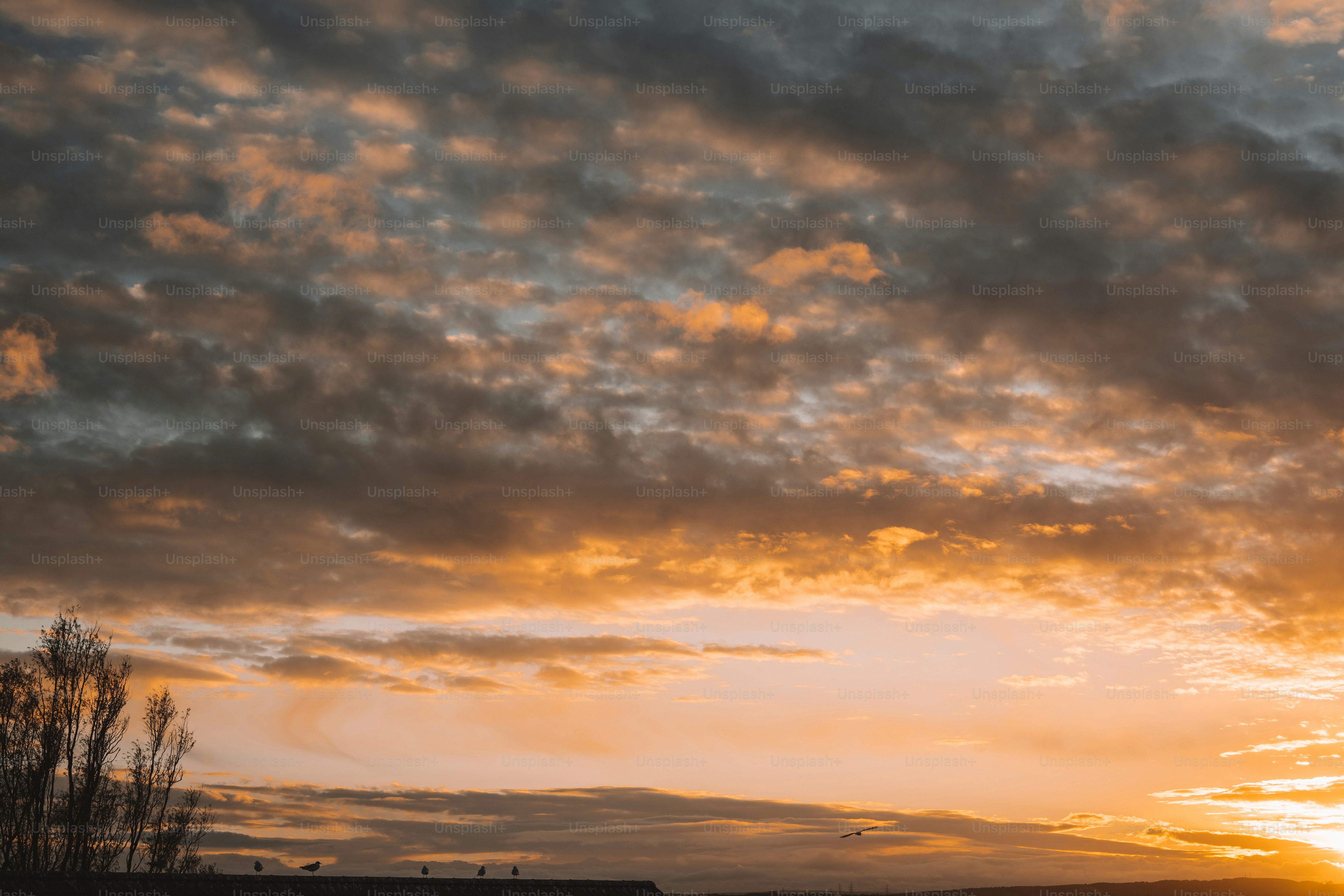 A plane flying in the sky with a sunset in the background