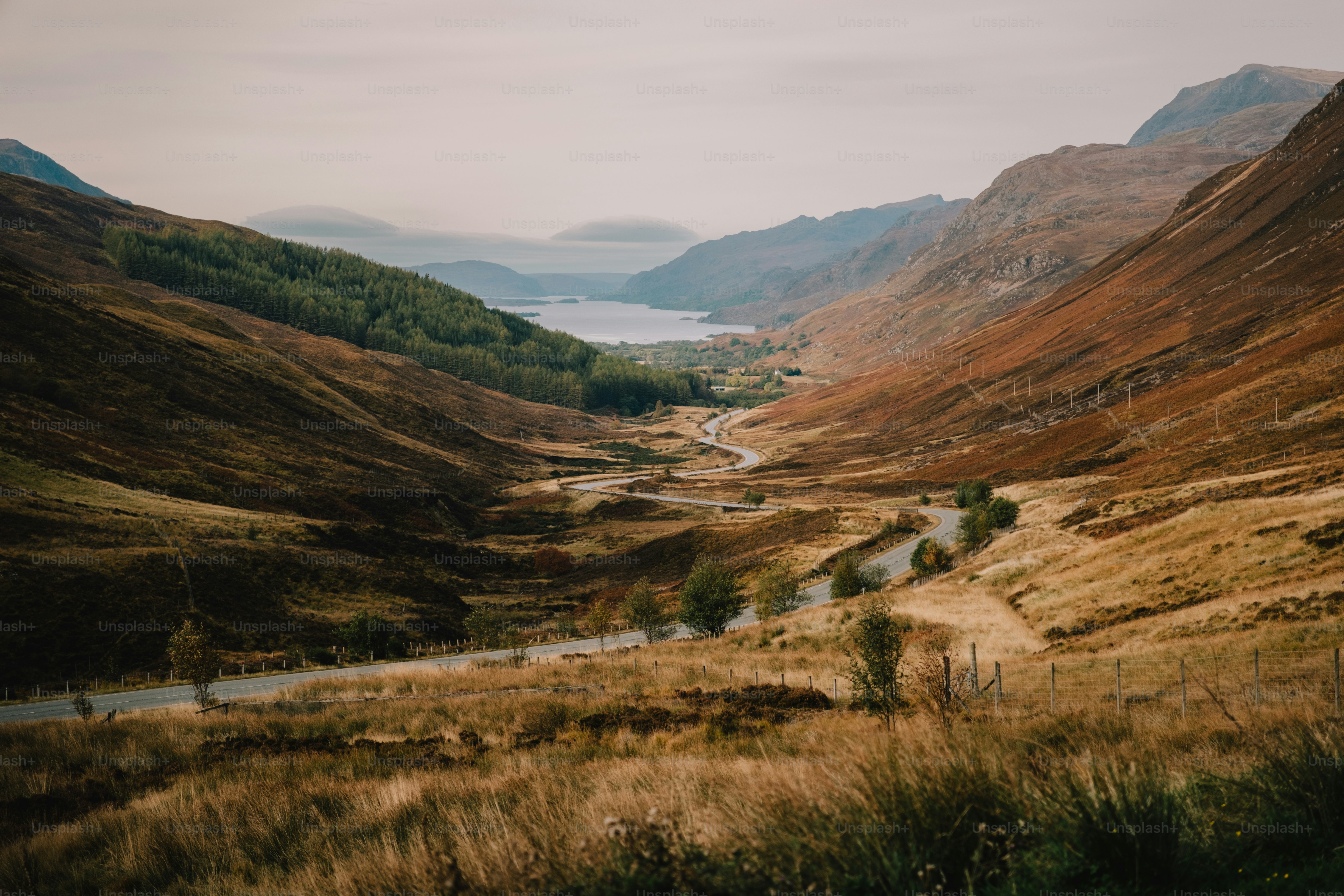 A view of a valley with a river running through it